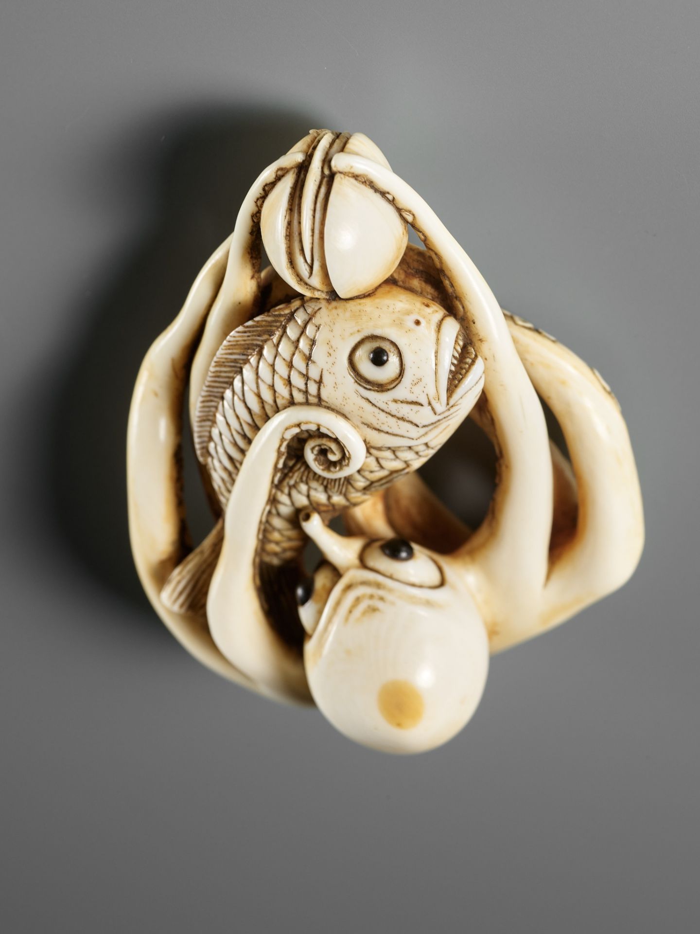 MASAKAZU: A LARGE AND IMPRESSIVE OSAKA SCHOOL IVORY NETSUKE OF AN OCTOPUS WITH CLAMS - Image 4 of 14