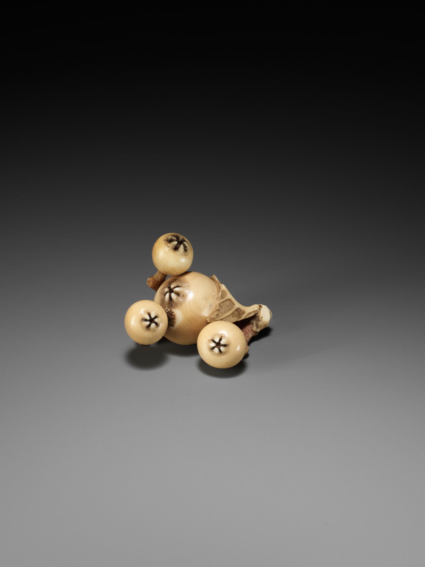 MITSUHIRO: A FINE IVORY NETSUKE OF A BIWA (LOQUAT) - Bild 11 aus 16