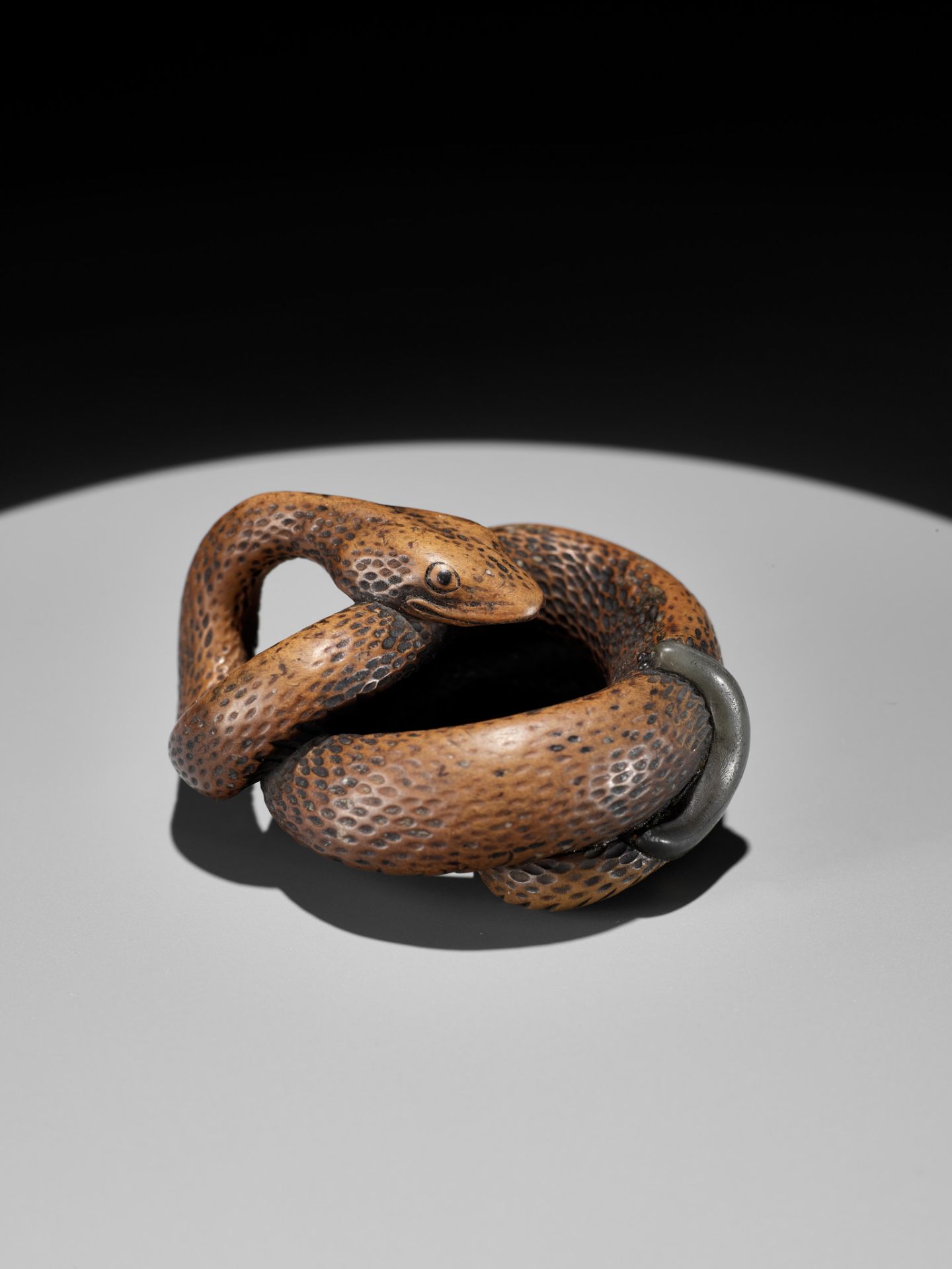 A LARGE AND POWERFUL WOOD NETSUKE OF A COILED SNAKE WITH AN INLAID SLUG BY TOMOKAZU - Image 11 of 13