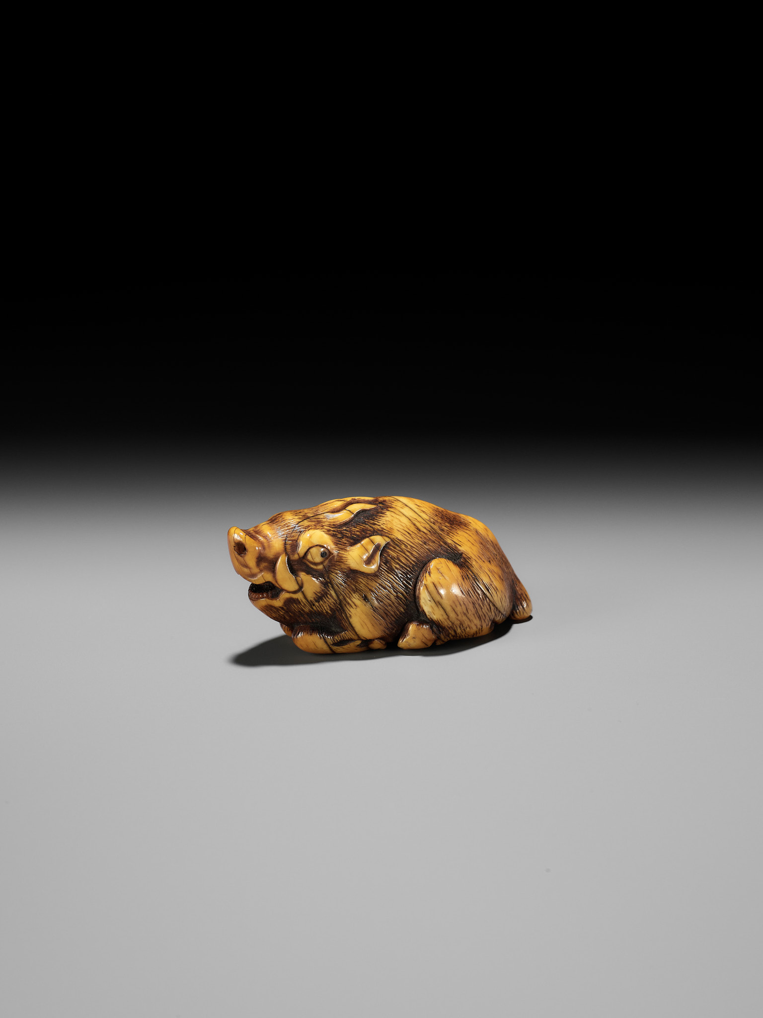 A KYOTO SCHOOL IVORY NETSUKE OF A FRIGHTENED RECLINING BOAR, SIGNED TOMOTADA - Bild 12 aus 19