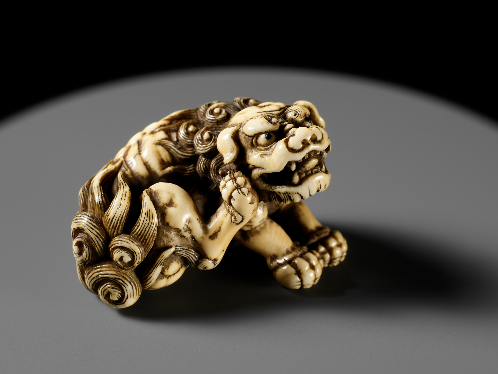 TOMOTADA: A SUPERB IVORY NETSUKE OF A RECUMBENT SHISHI SCRATCHING ITS JOWL - Image 22 of 24