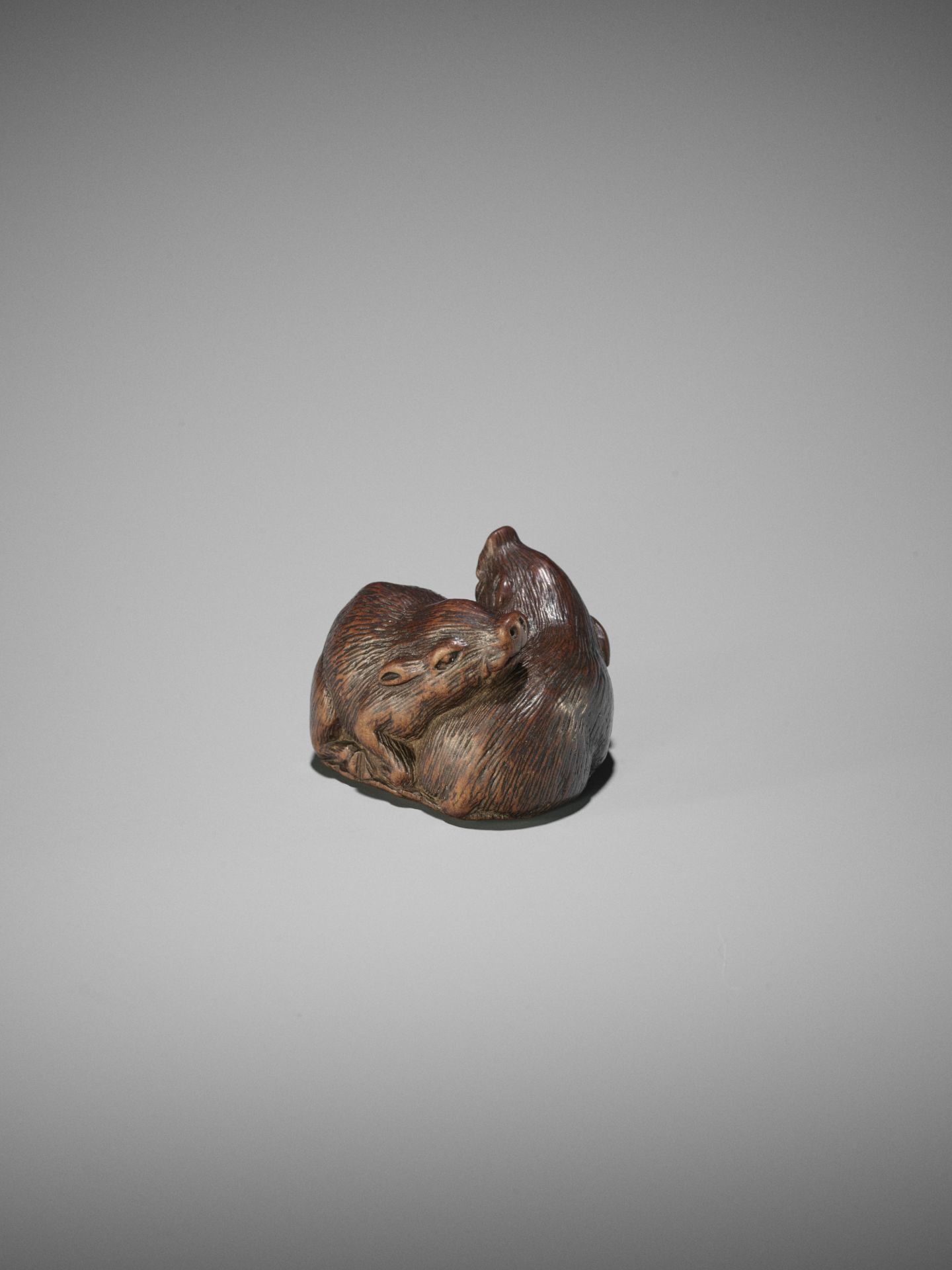 TAMETAKA: A WOOD NETSUKE OF TWO BOARS - Bild 10 aus 17