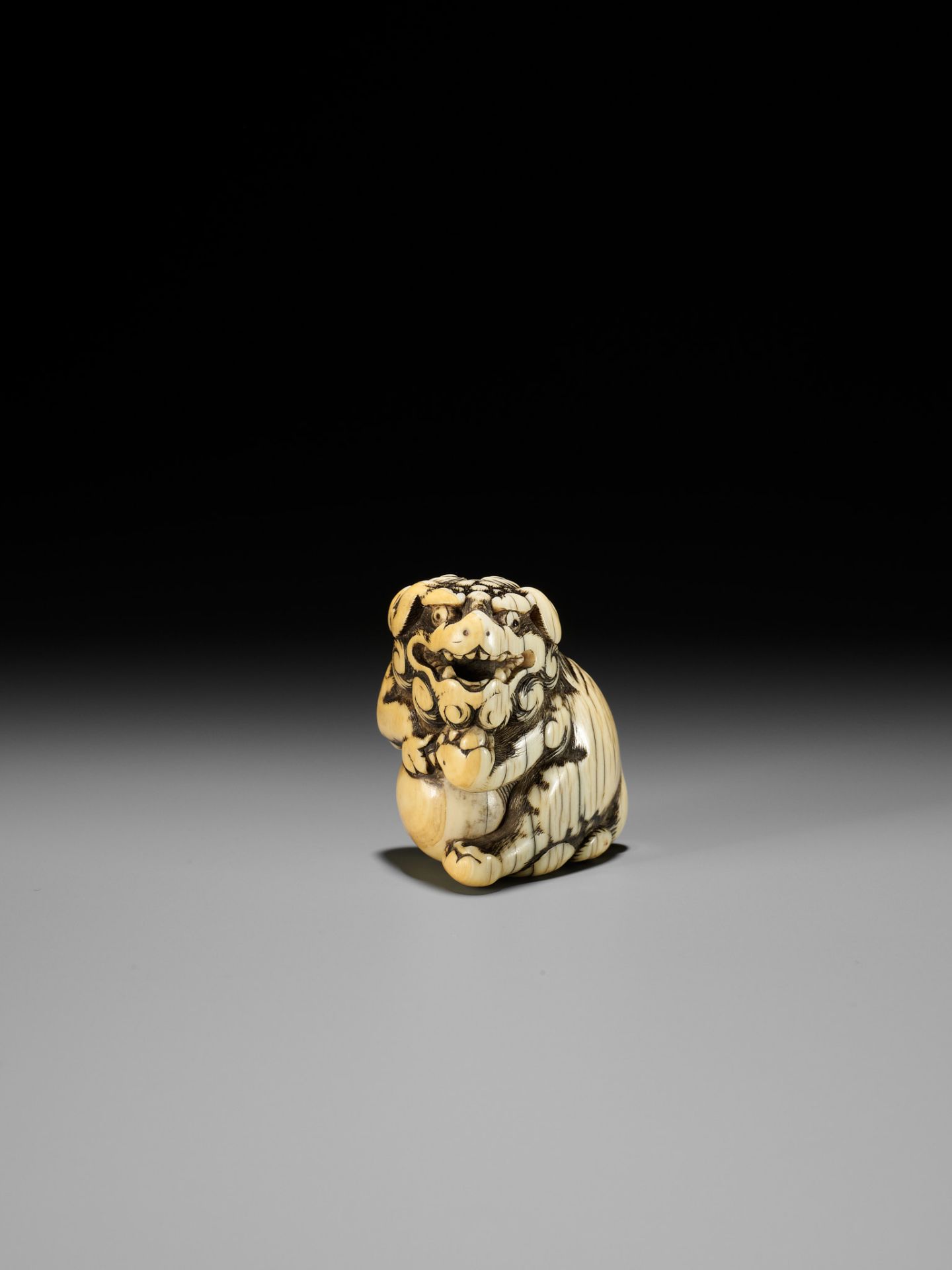 AN IVORY NETSUKE OF A SNARLING SHISHI WITH BALL - Bild 3 aus 13