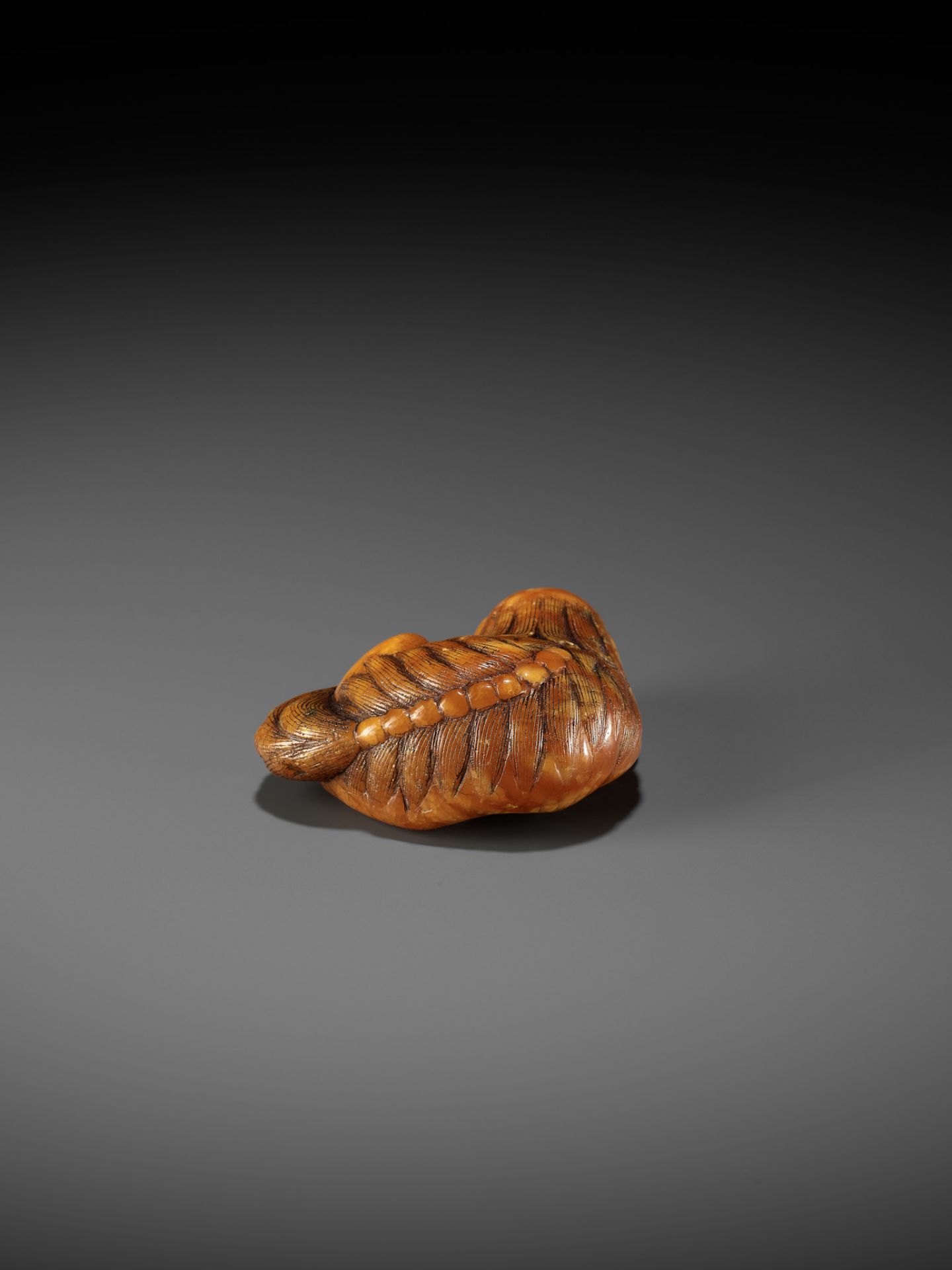 A VERY RARE CLOUDY AMBER NETSUKE OF A RECUMBENT SHISHI - Bild 6 aus 9