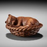 VADYM PYVOVAR: CAT IN A BASKET