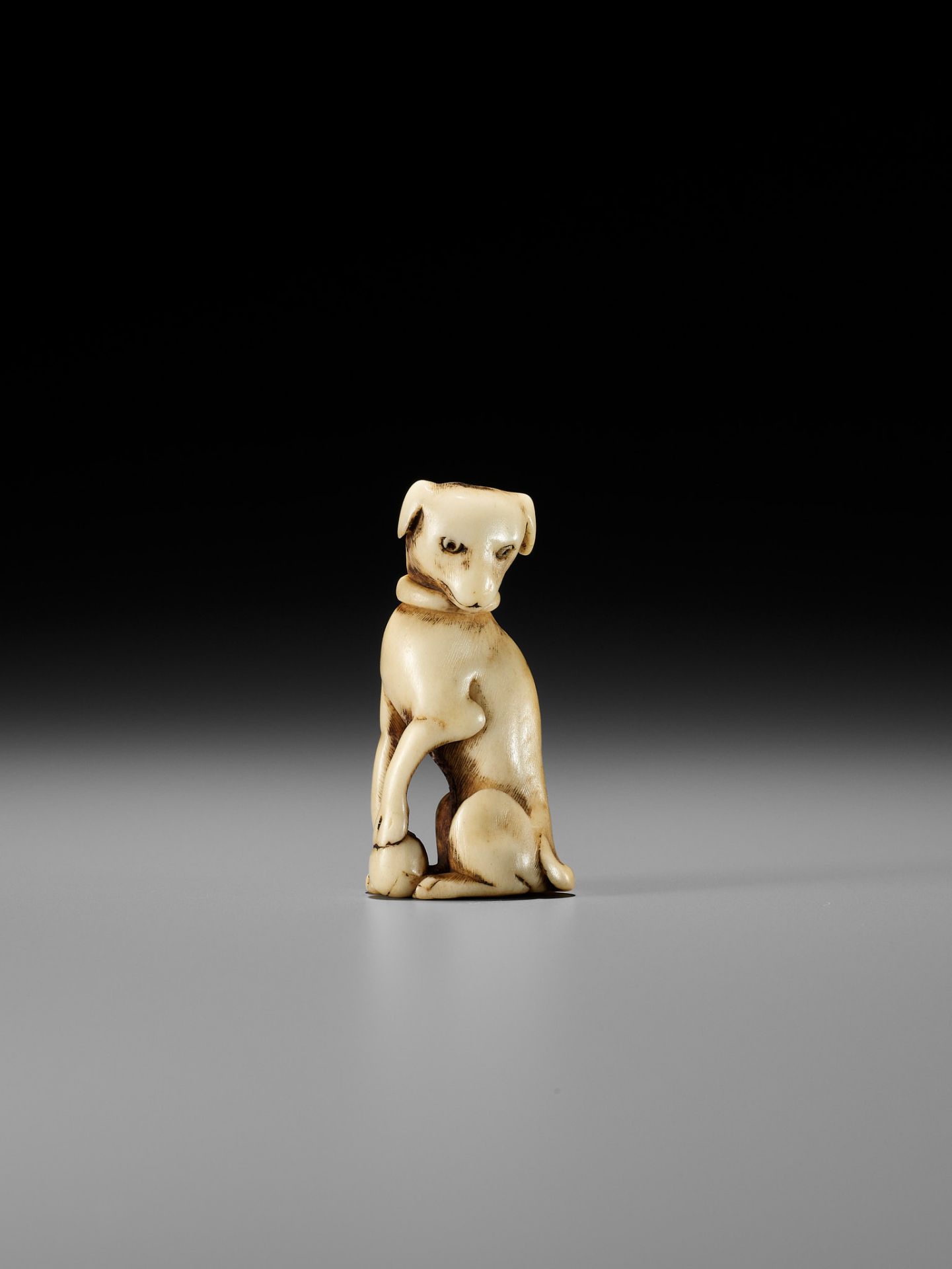 A KYOTO SCHOOL ANTLER NETSUKE OF A DOG - Image 11 of 13