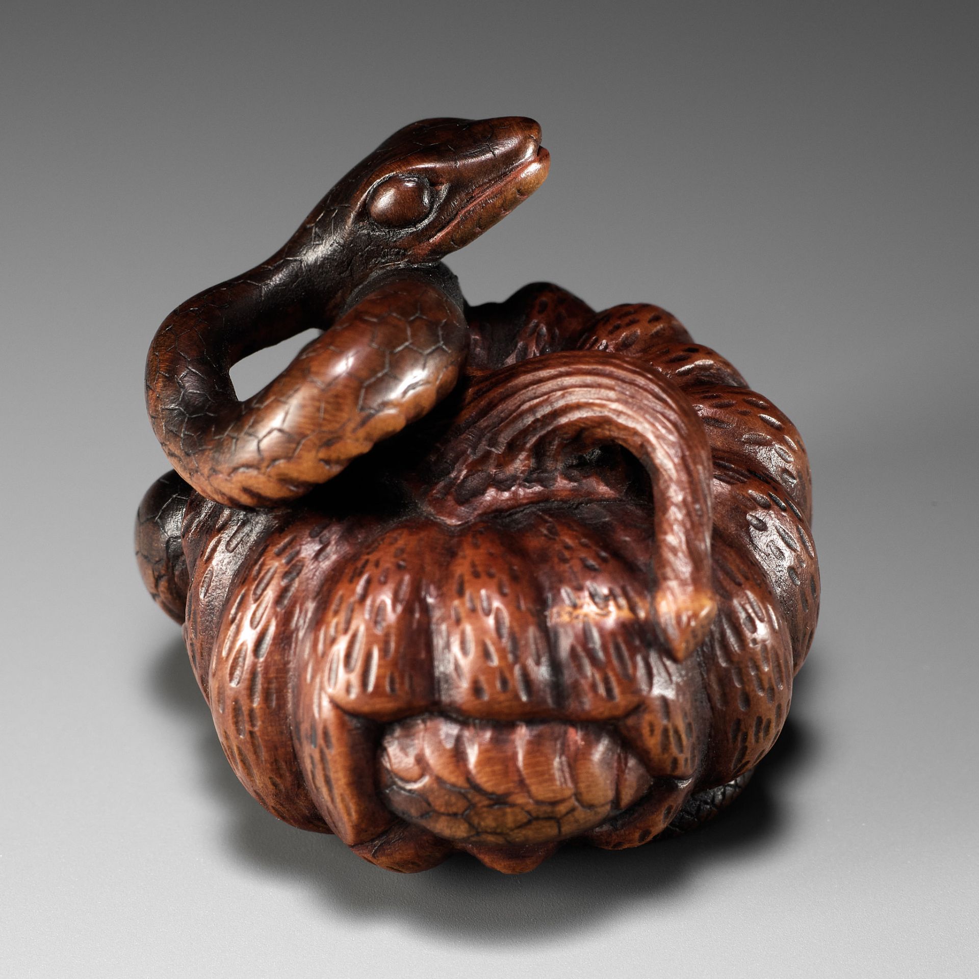 SHIGEMASA: A FINE NAGOYA SCHOOL WOOD NETSUKE OF SNAKE WINDING THROUGH A PUMPKIN