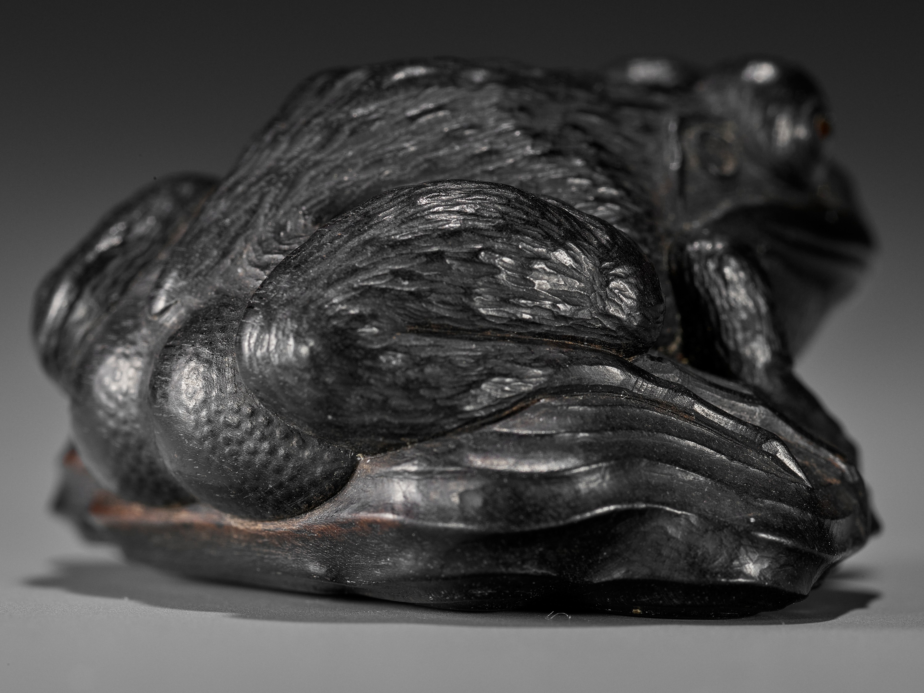 A SUPERB EBONY WOOD NETSUKE OF A FROG ON DRIFTWOOD ATTRIBUTED TO SEIYODO TOMIHARU - Image 2 of 20