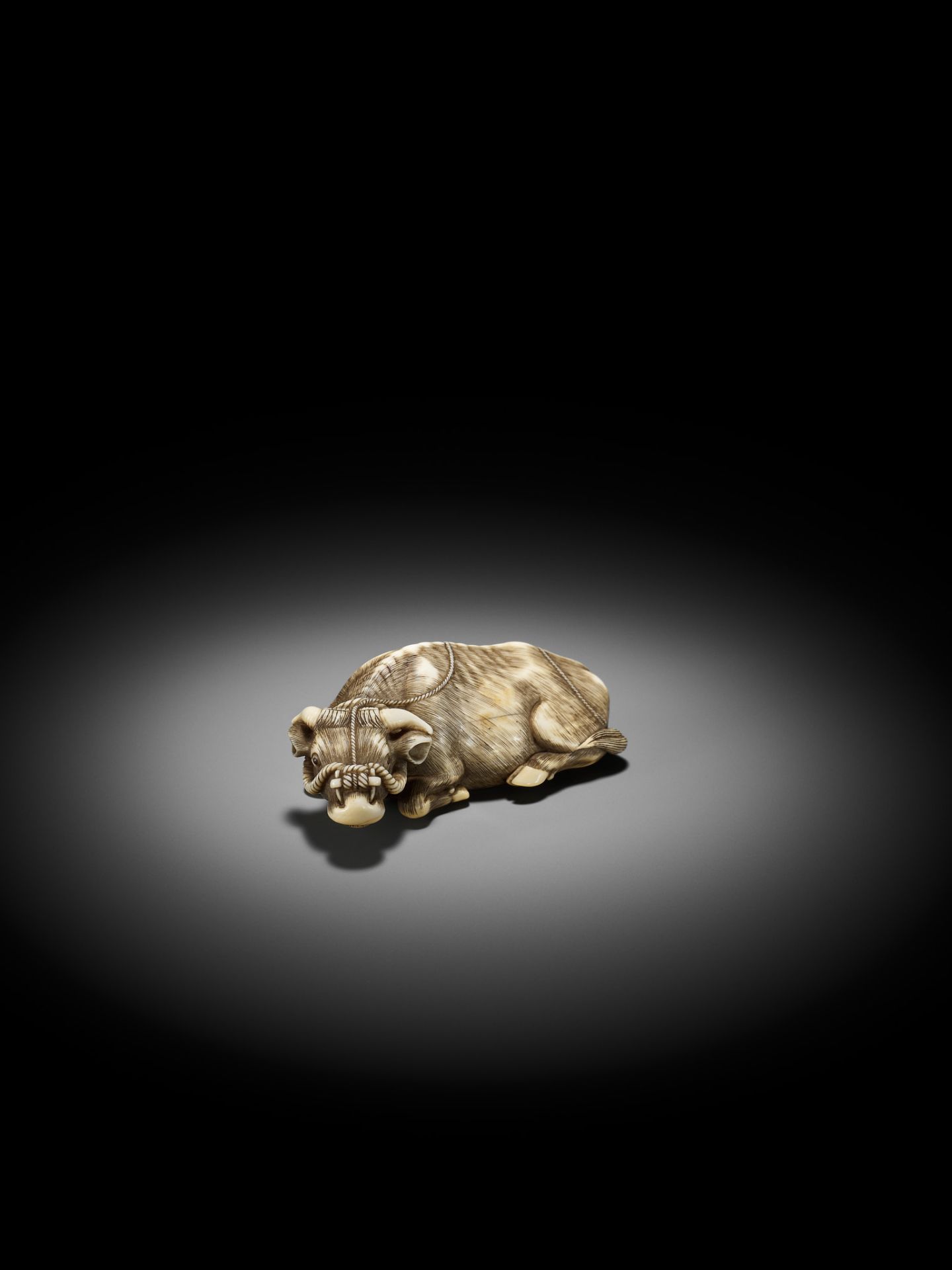 A SUPERB IVORY NETSUKE OF A RECUMBENT OX, ATTRIBUTED TO OKATOMO - Bild 13 aus 15