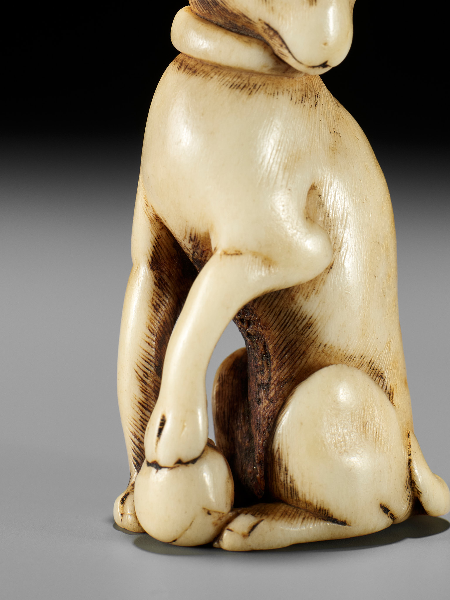 A KYOTO SCHOOL ANTLER NETSUKE OF A DOG - Image 12 of 13