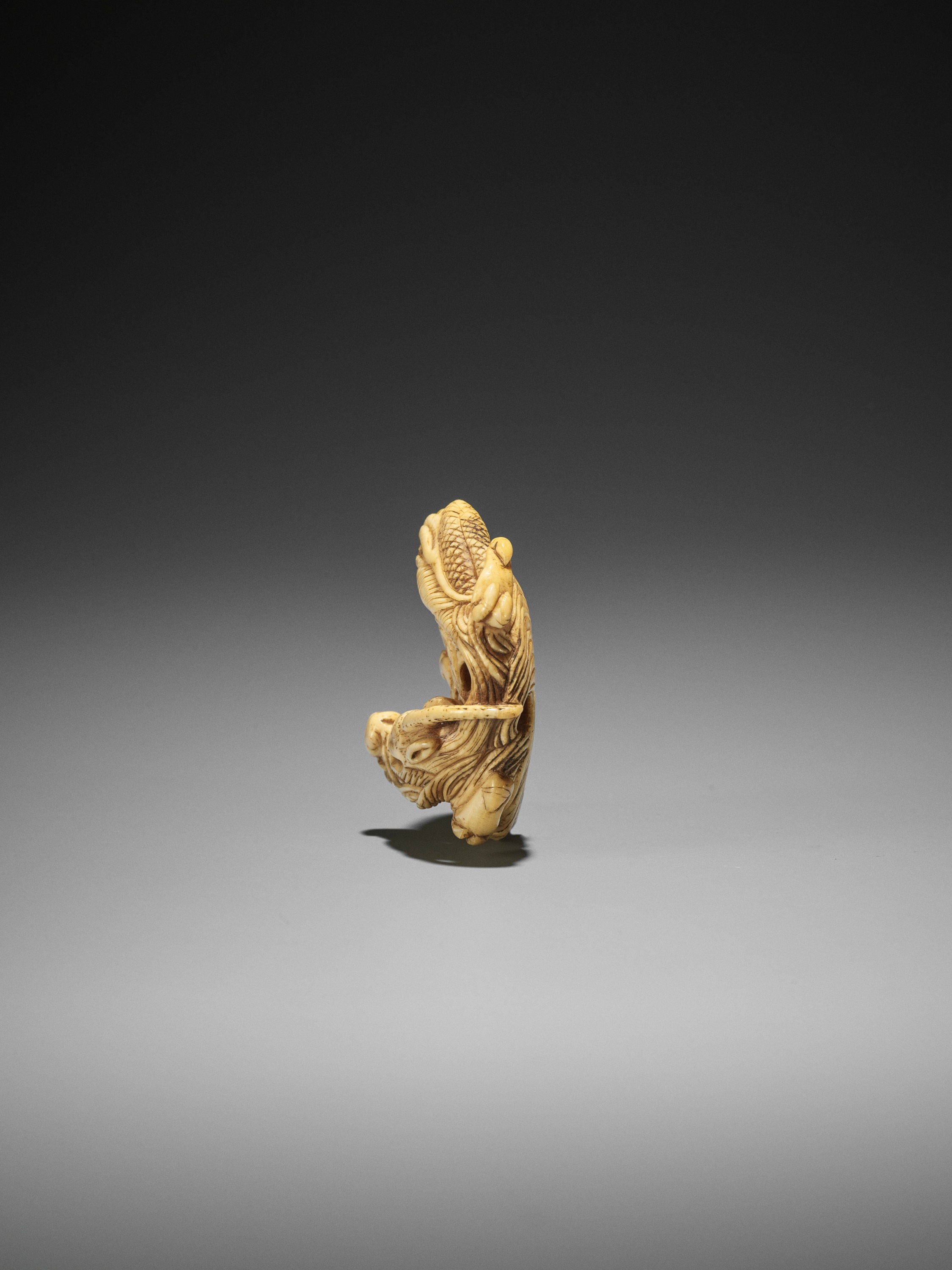 AN IVORY NETSUKE OF A COILED ONE-HORNED DRAGON - Image 7 of 10