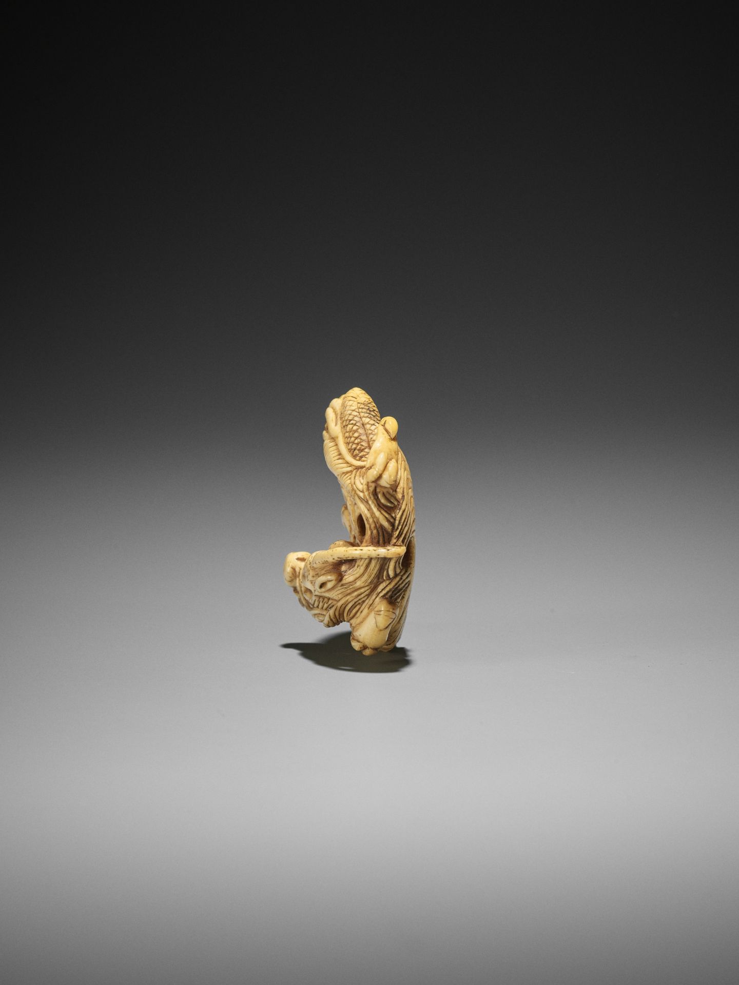 AN IVORY NETSUKE OF A COILED ONE-HORNED DRAGON - Bild 7 aus 10