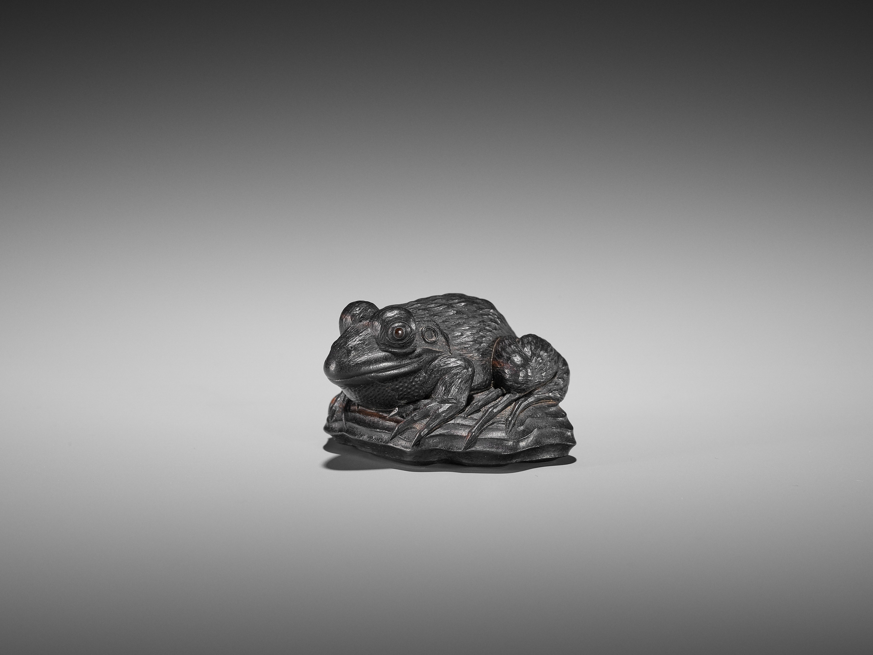 A SUPERB EBONY WOOD NETSUKE OF A FROG ON DRIFTWOOD ATTRIBUTED TO SEIYODO TOMIHARU - Image 8 of 20