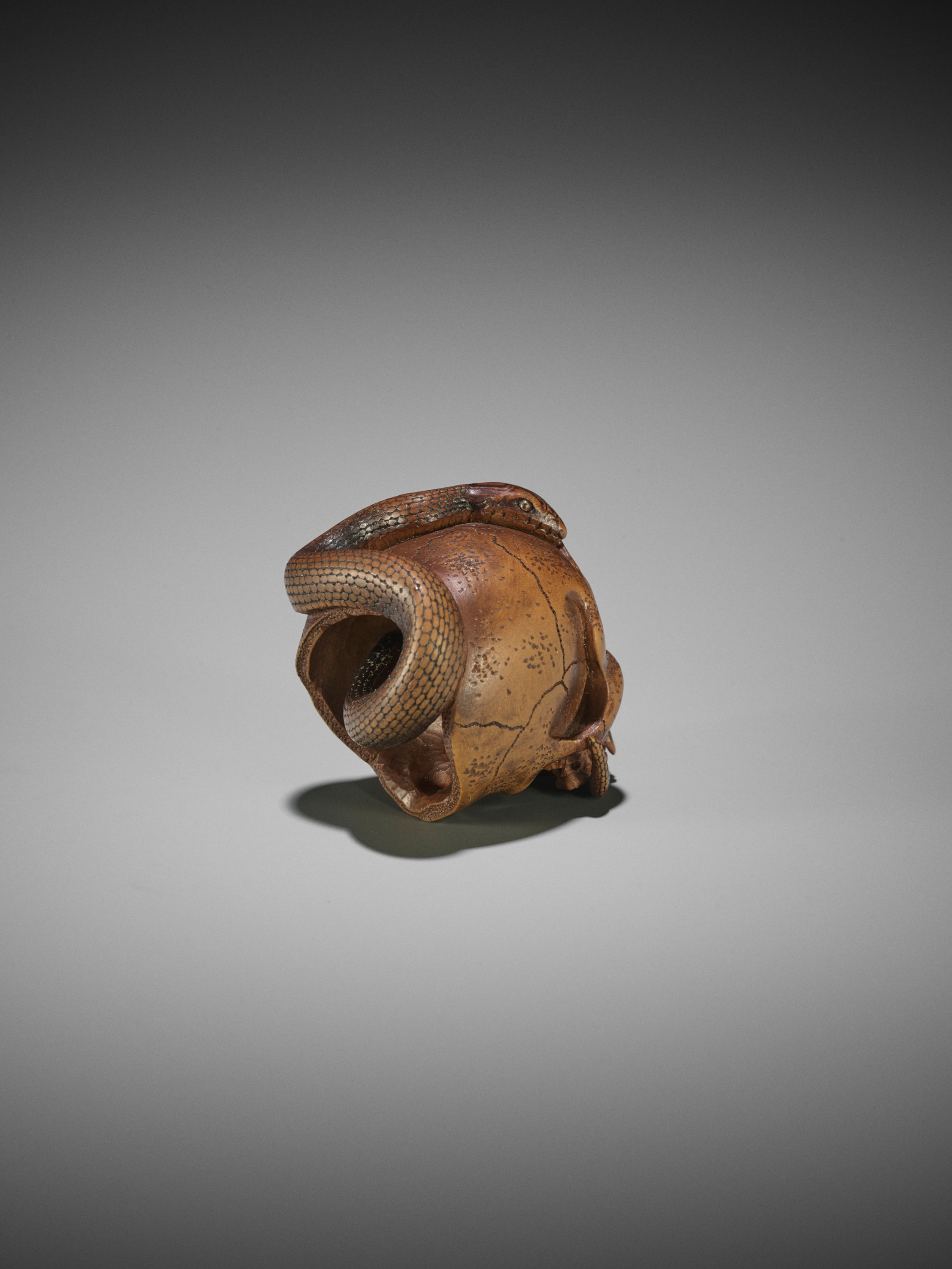 SUKEYUKI: A MASTERFUL WOOD NETSUKE OF A SNAKE AND SKULL - Image 13 of 19