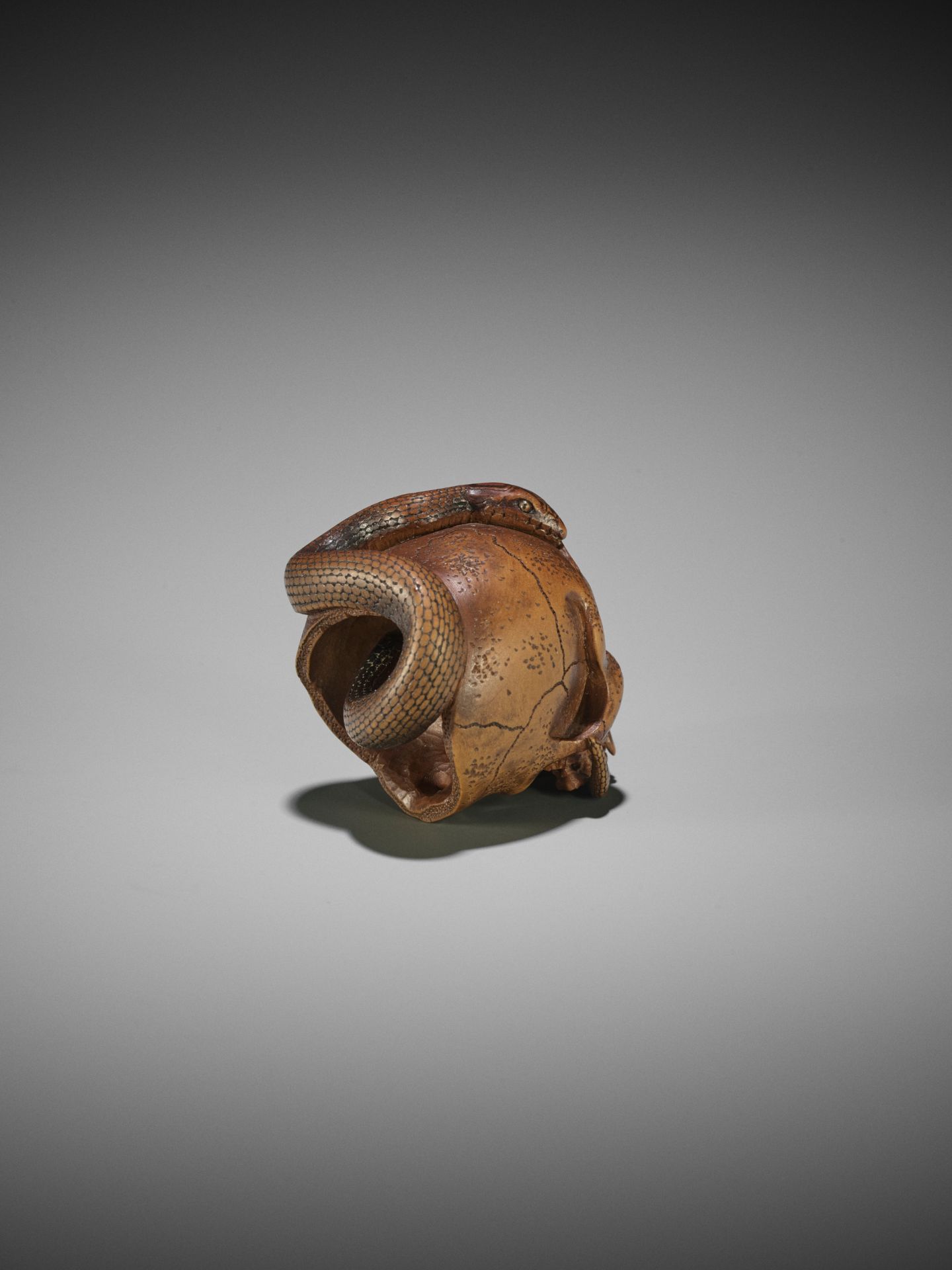 SUKEYUKI: A MASTERFUL WOOD NETSUKE OF A SNAKE AND SKULL - Bild 13 aus 19