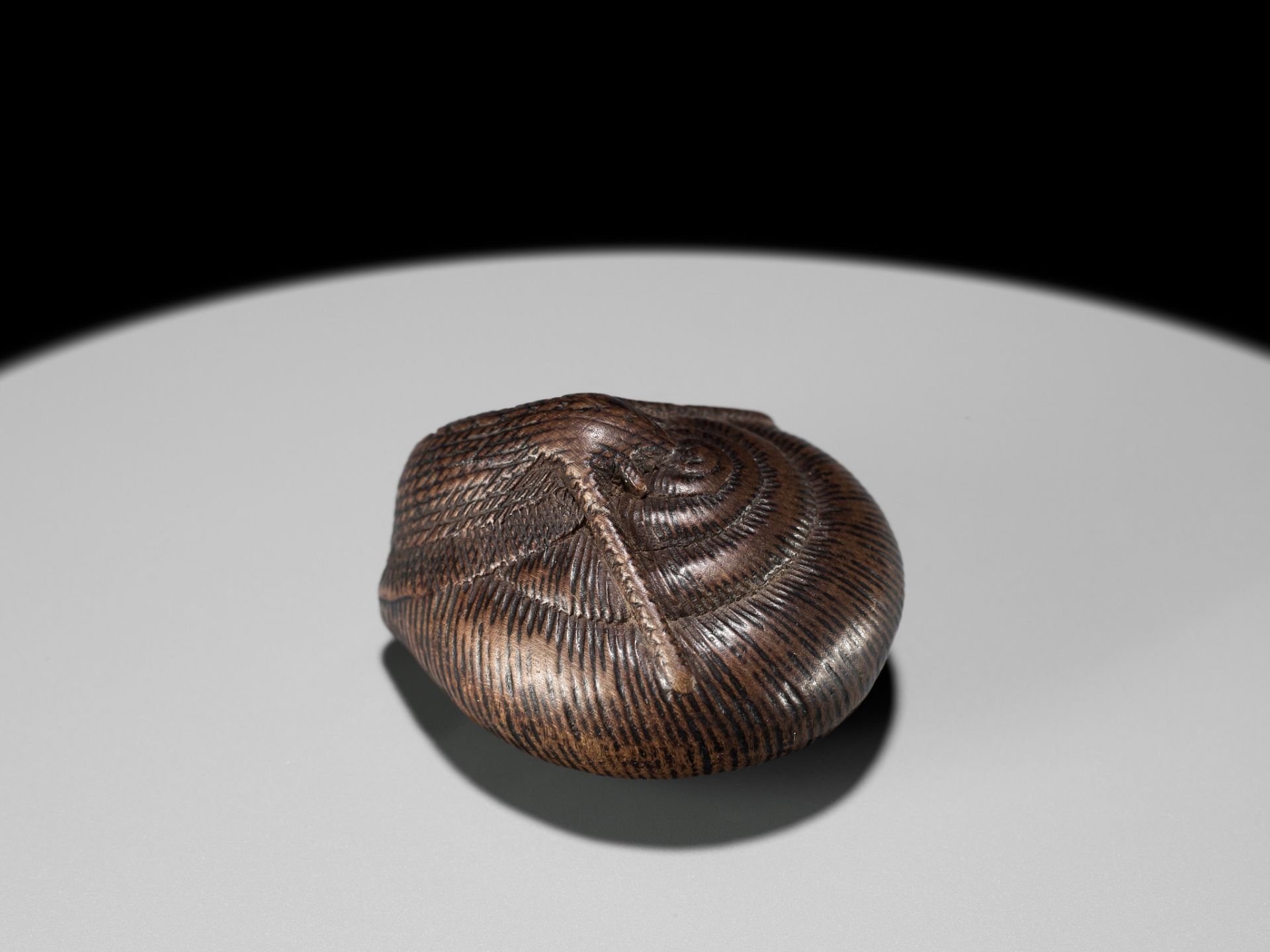 SARI: A FINE WOOD NETSUKE OF A SNAIL EMERGING FROM ITS SHELL - Bild 2 aus 17