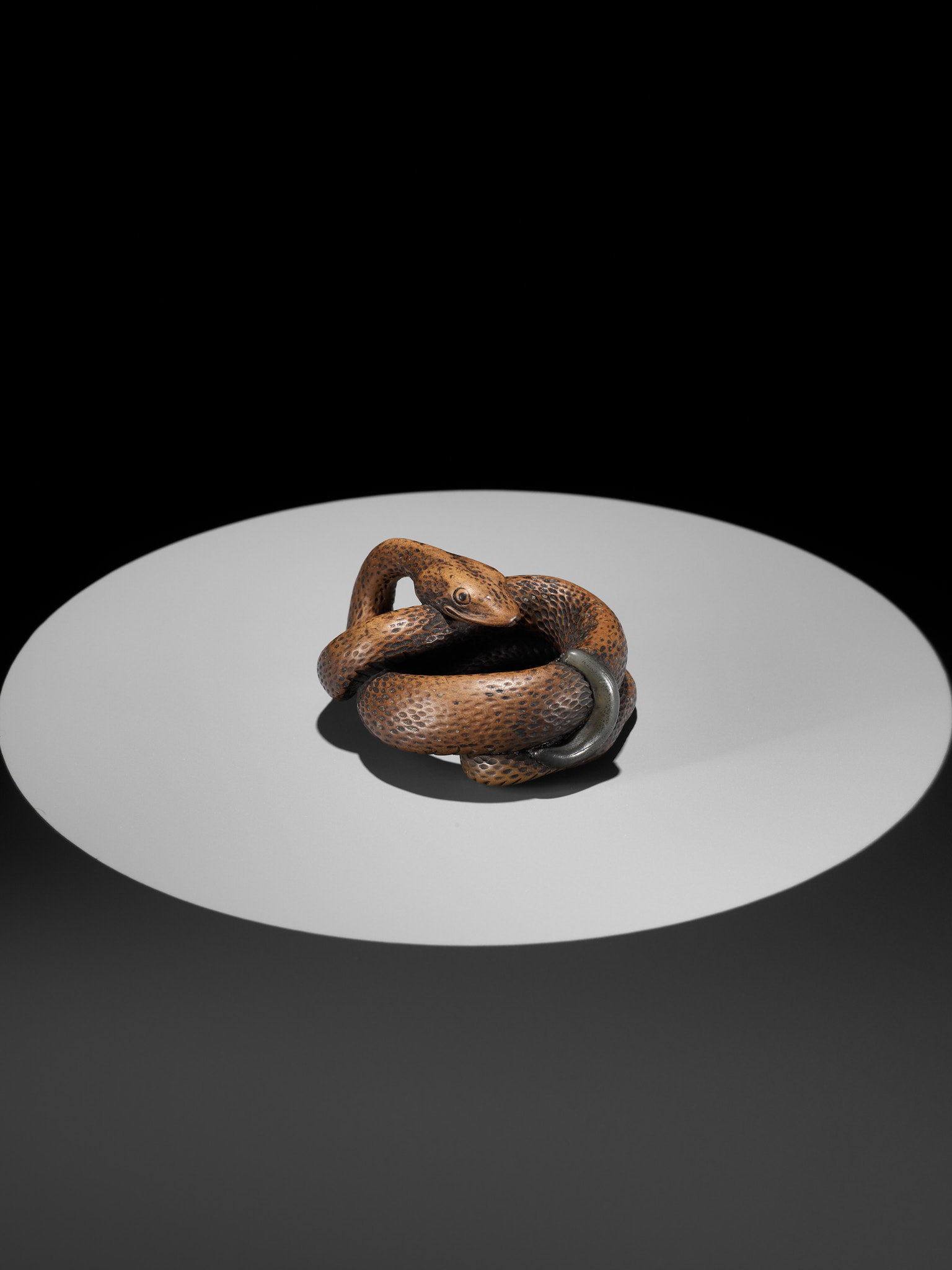 A LARGE AND POWERFUL WOOD NETSUKE OF A COILED SNAKE WITH AN INLAID SLUG BY TOMOKAZU - Image 9 of 13