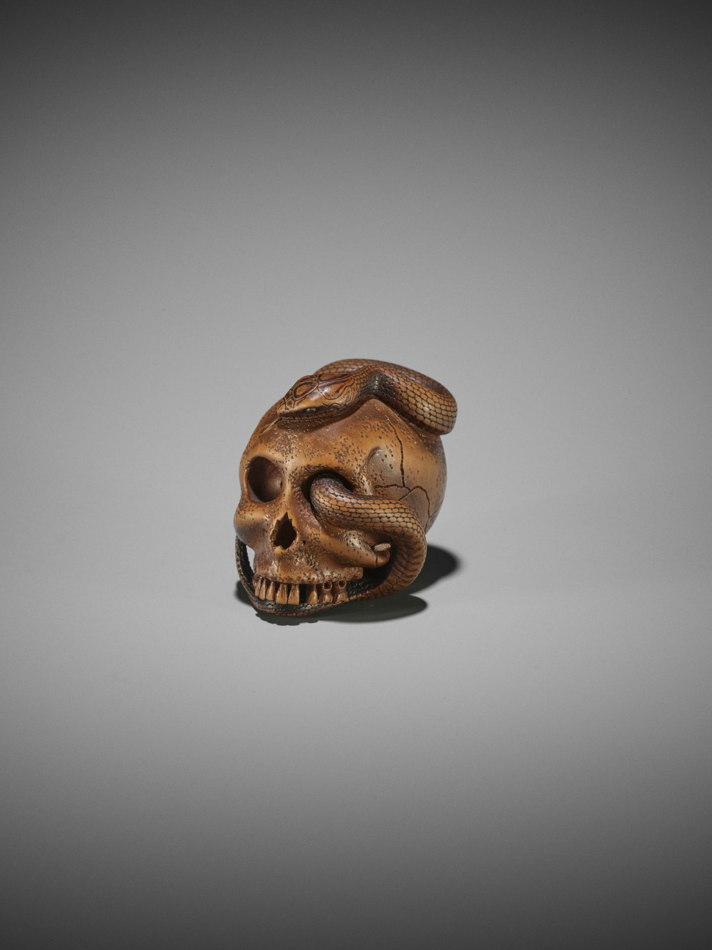 SUKEYUKI: A MASTERFUL WOOD NETSUKE OF A SNAKE AND SKULL - Bild 9 aus 19