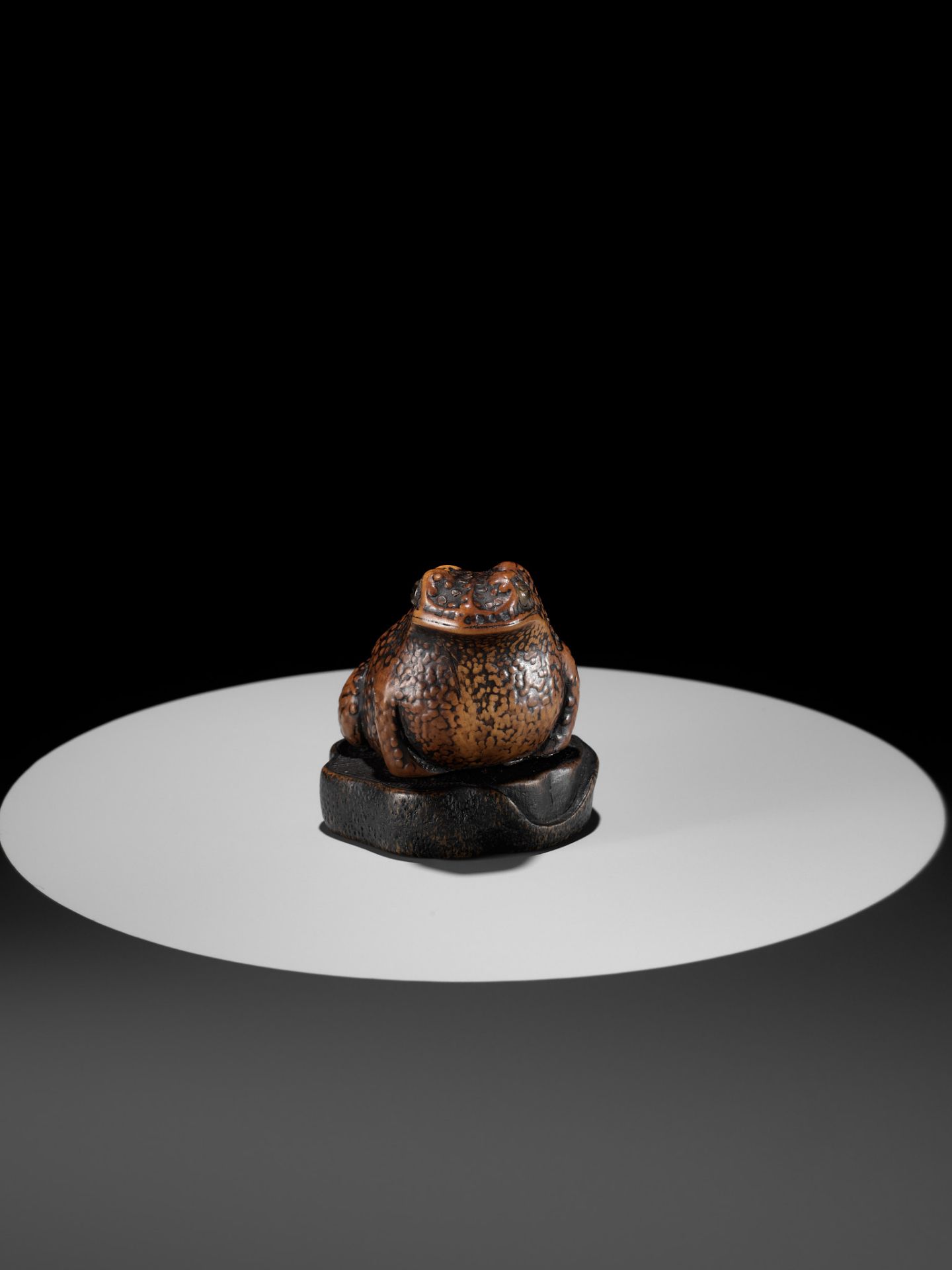 A LARGE AND UNUSUAL WOOD NETSUKE OF A TOAD - Bild 5 aus 11