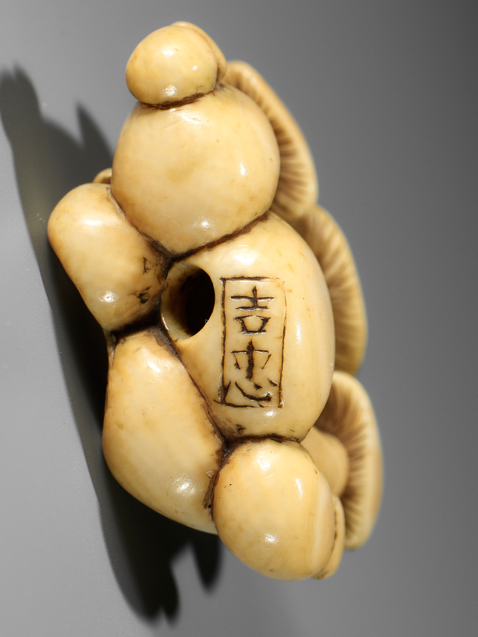 YOSHITADA: A FINE IVORY NETSUKE OF A CLUSTER OF MUSHROOMS - Image 10 of 11