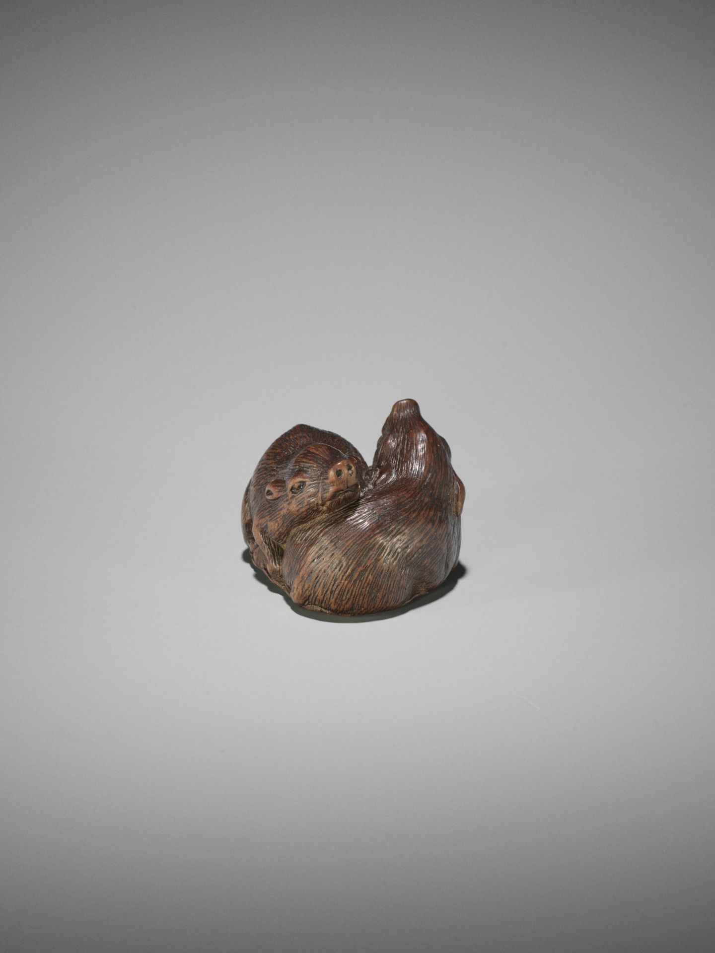 TAMETAKA: A WOOD NETSUKE OF TWO BOARS - Bild 11 aus 17