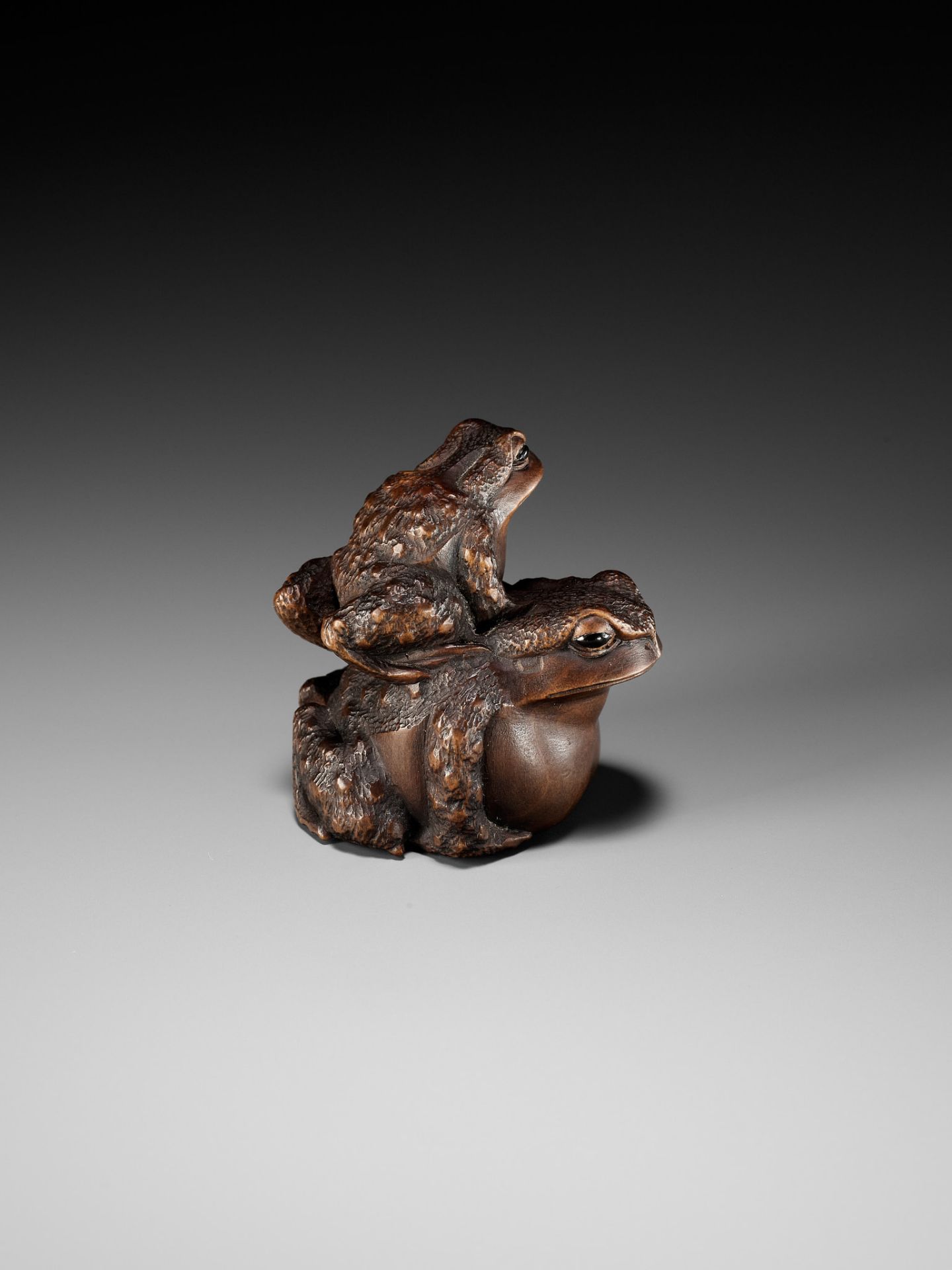 MASANAO: A FINE WOOD NETSUKE OF A TOAD WITH YOUNG - Bild 11 aus 15