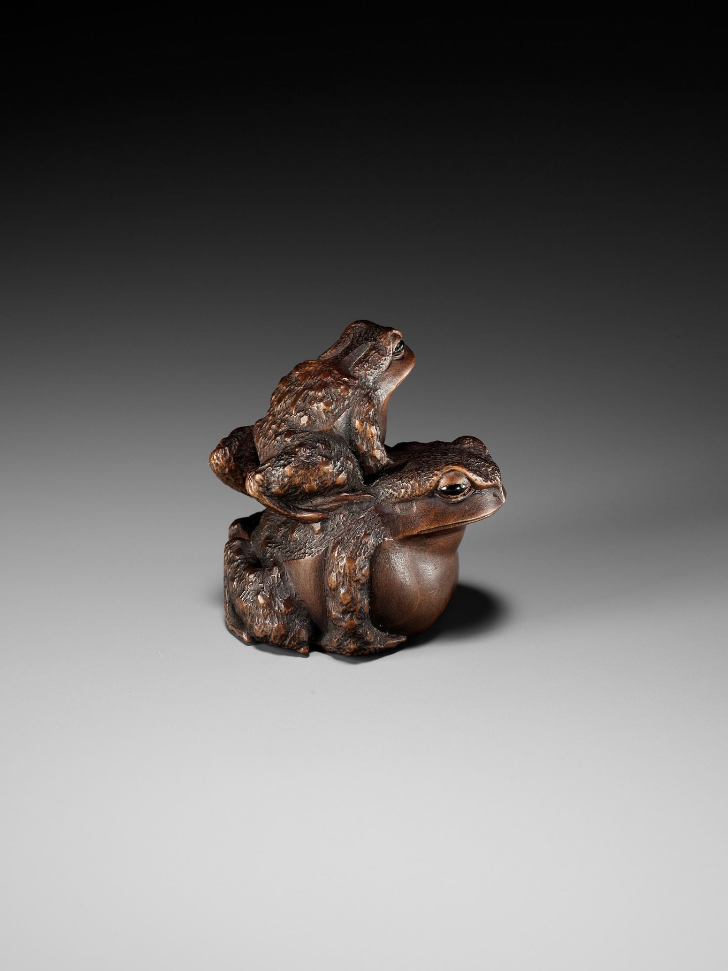 MASANAO: A FINE WOOD NETSUKE OF A TOAD WITH YOUNG - Image 11 of 15