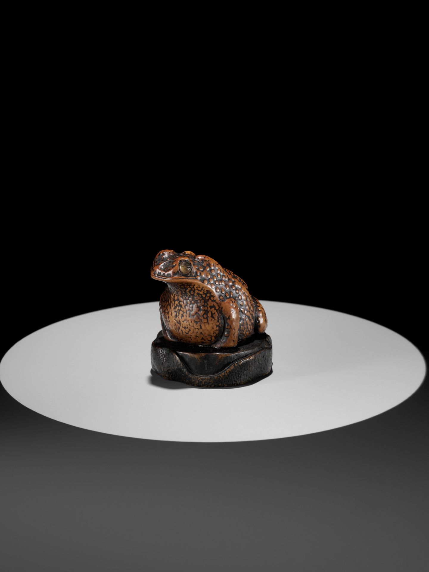 A LARGE AND UNUSUAL WOOD NETSUKE OF A TOAD - Bild 6 aus 11