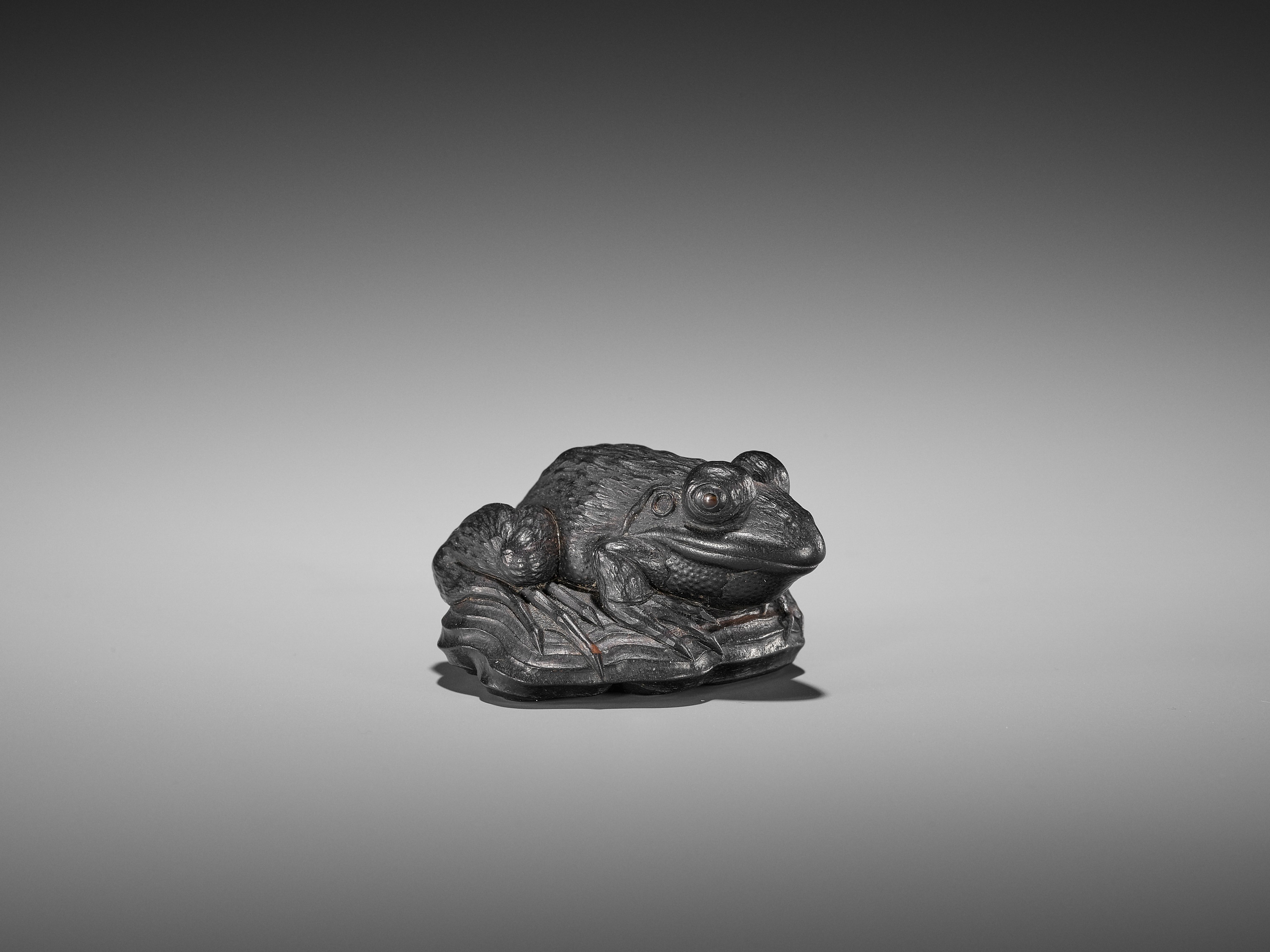 A SUPERB EBONY WOOD NETSUKE OF A FROG ON DRIFTWOOD ATTRIBUTED TO SEIYODO TOMIHARU - Image 14 of 20