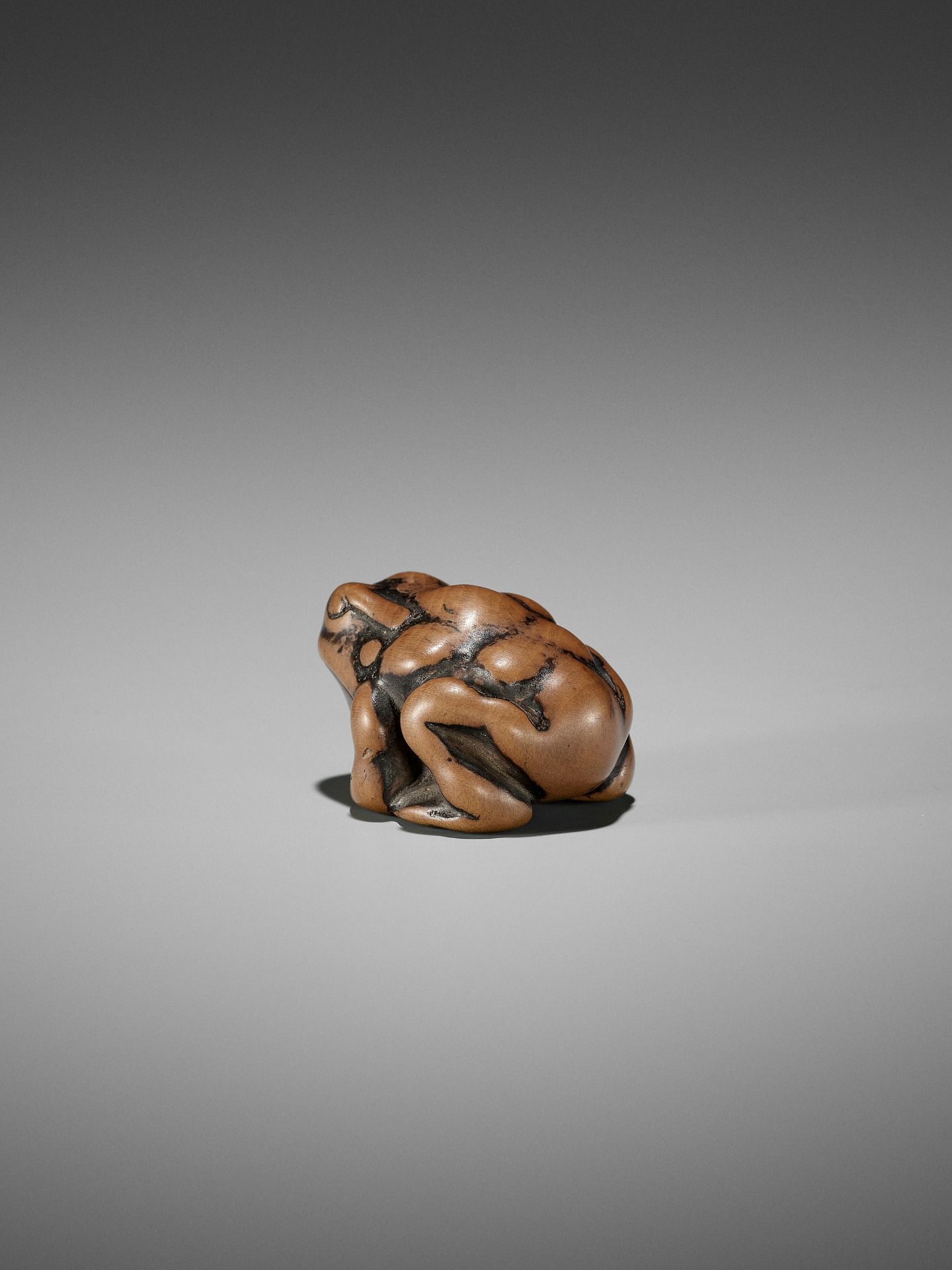 AN EARLY WOOD NETSUKE OF A TOAD - Bild 2 aus 12