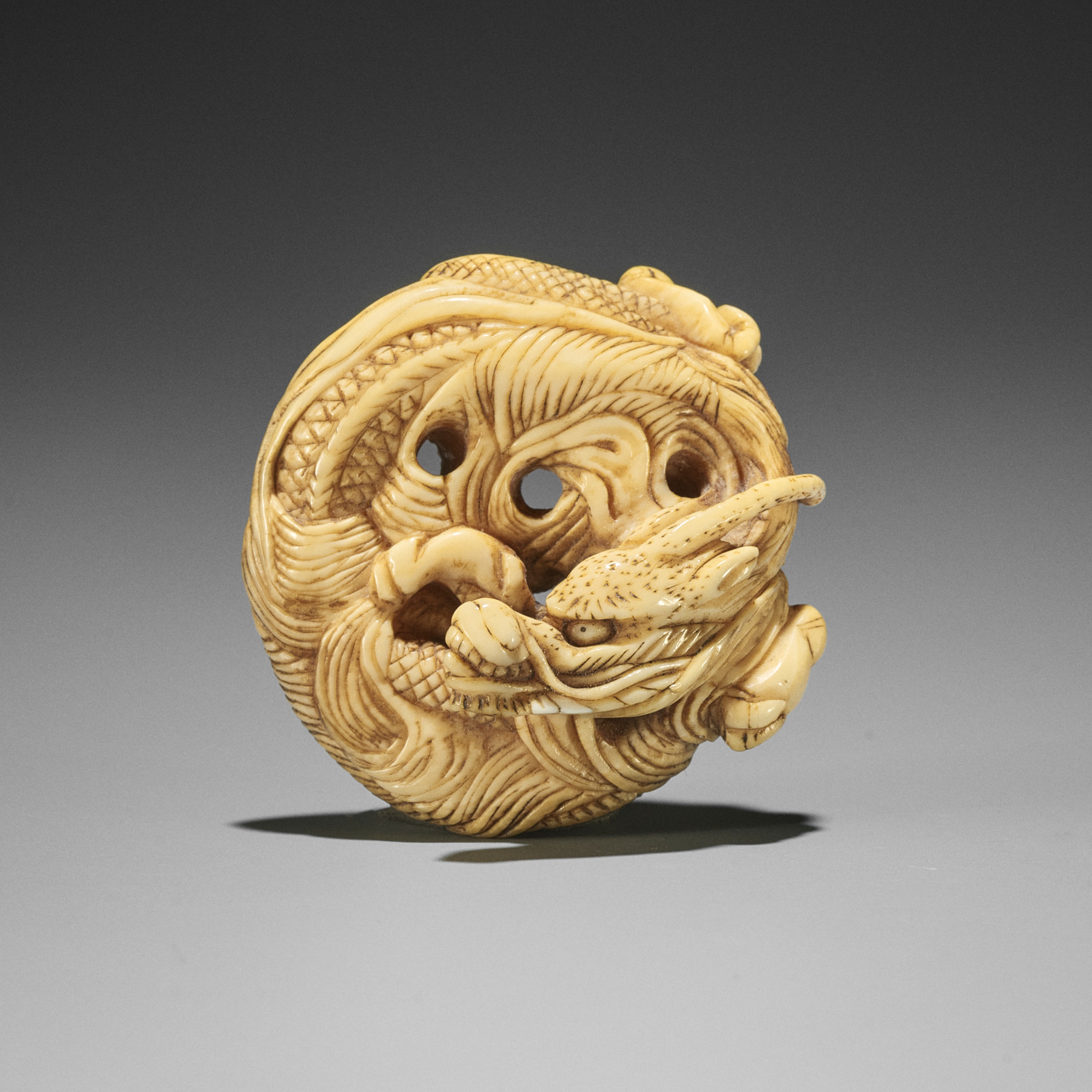 AN IVORY NETSUKE OF A COILED ONE-HORNED DRAGON