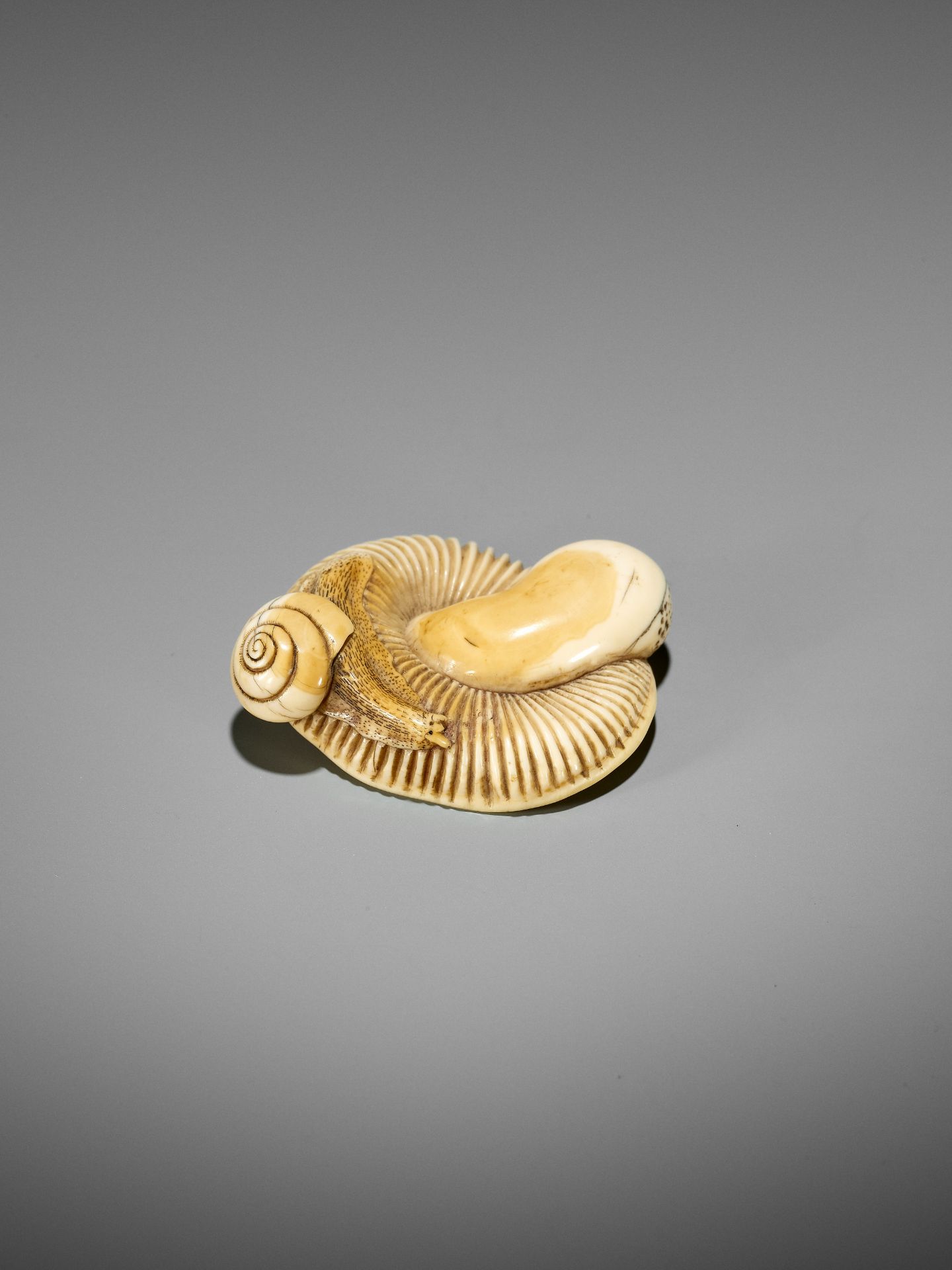 A FINE IVORY NETSUKE OF A SNAIL ON LARGE MUSHROOM - Image 9 of 15