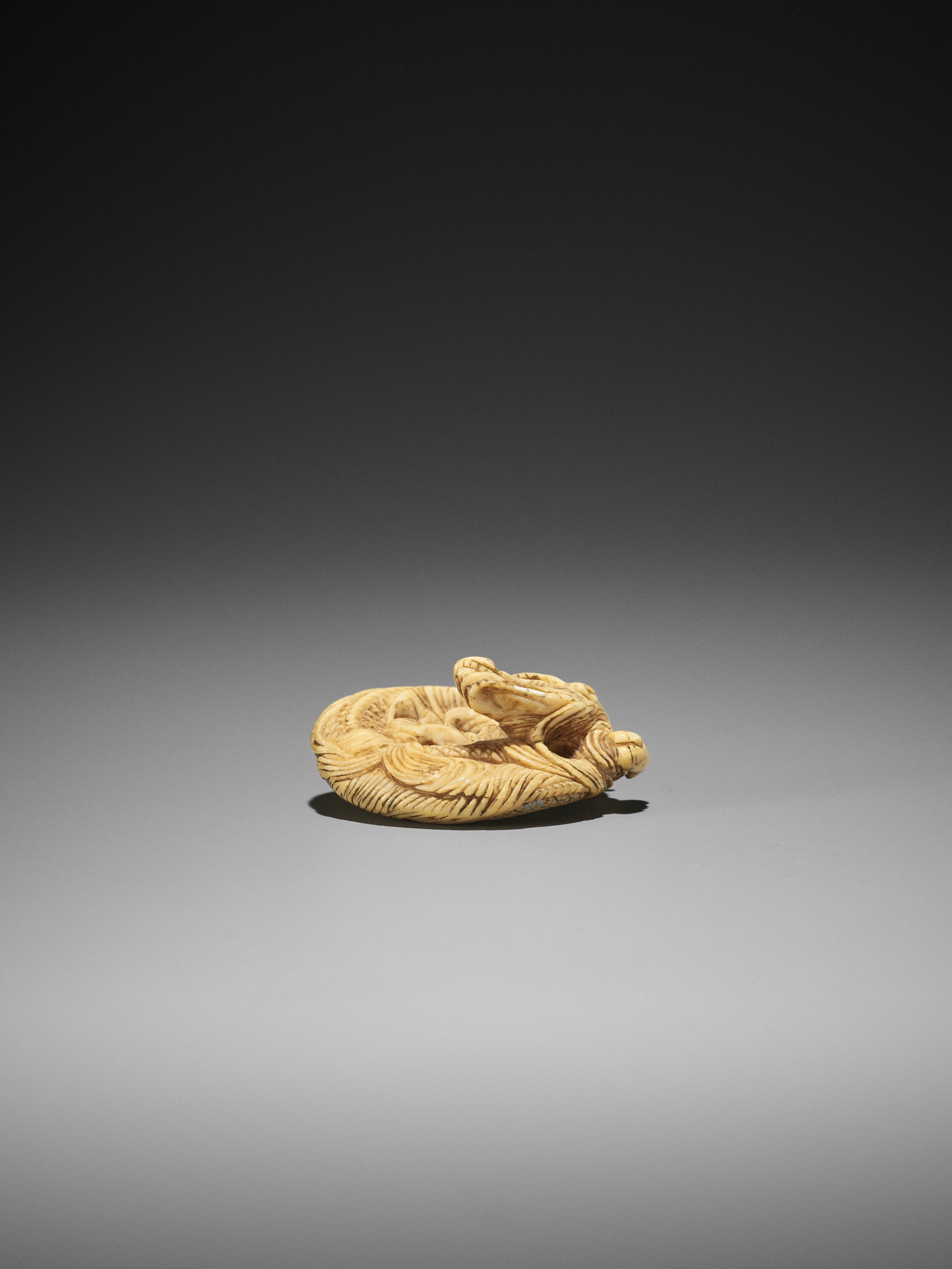 AN IVORY NETSUKE OF A COILED ONE-HORNED DRAGON - Image 9 of 10