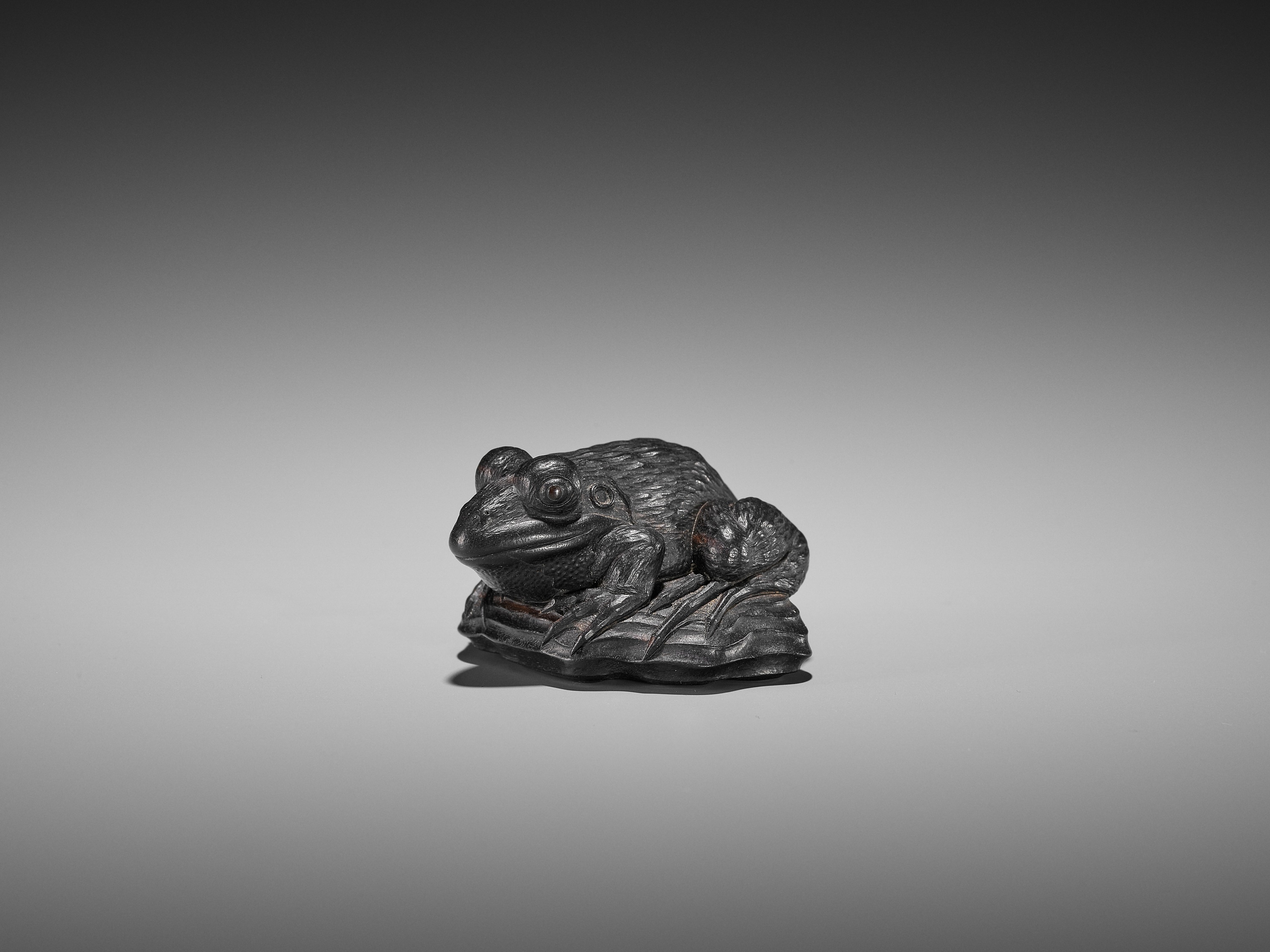 A SUPERB EBONY WOOD NETSUKE OF A FROG ON DRIFTWOOD ATTRIBUTED TO SEIYODO TOMIHARU - Image 3 of 20