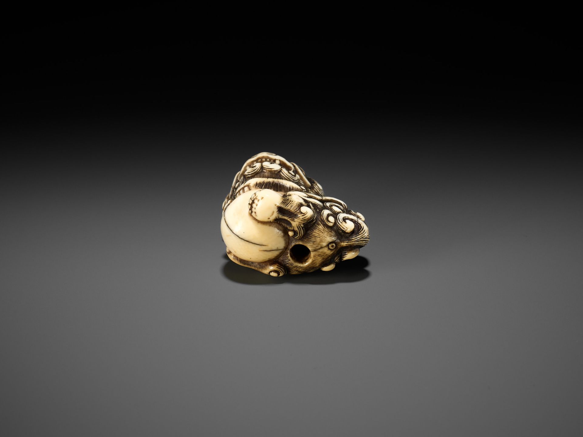 AN IVORY NETSUKE OF A SNARLING SHISHI WITH BALL - Bild 9 aus 10