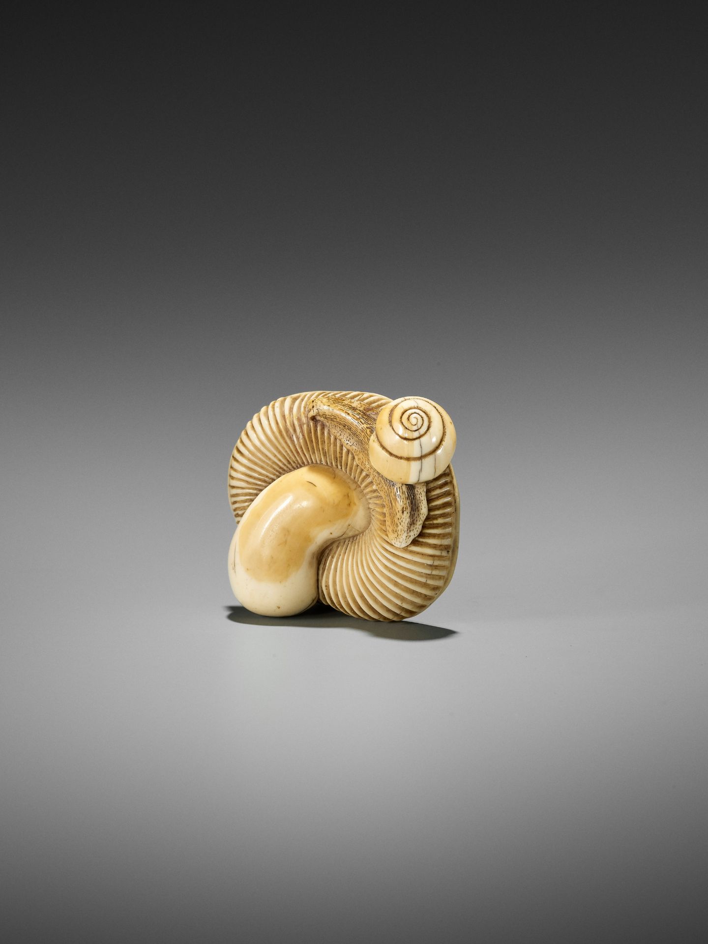 A FINE IVORY NETSUKE OF A SNAIL ON LARGE MUSHROOM - Bild 2 aus 15