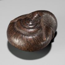 SARI: A FINE WOOD NETSUKE OF A SNAIL EMERGING FROM ITS SHELL