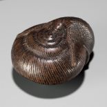 SARI: A FINE WOOD NETSUKE OF A SNAIL EMERGING FROM ITS SHELL