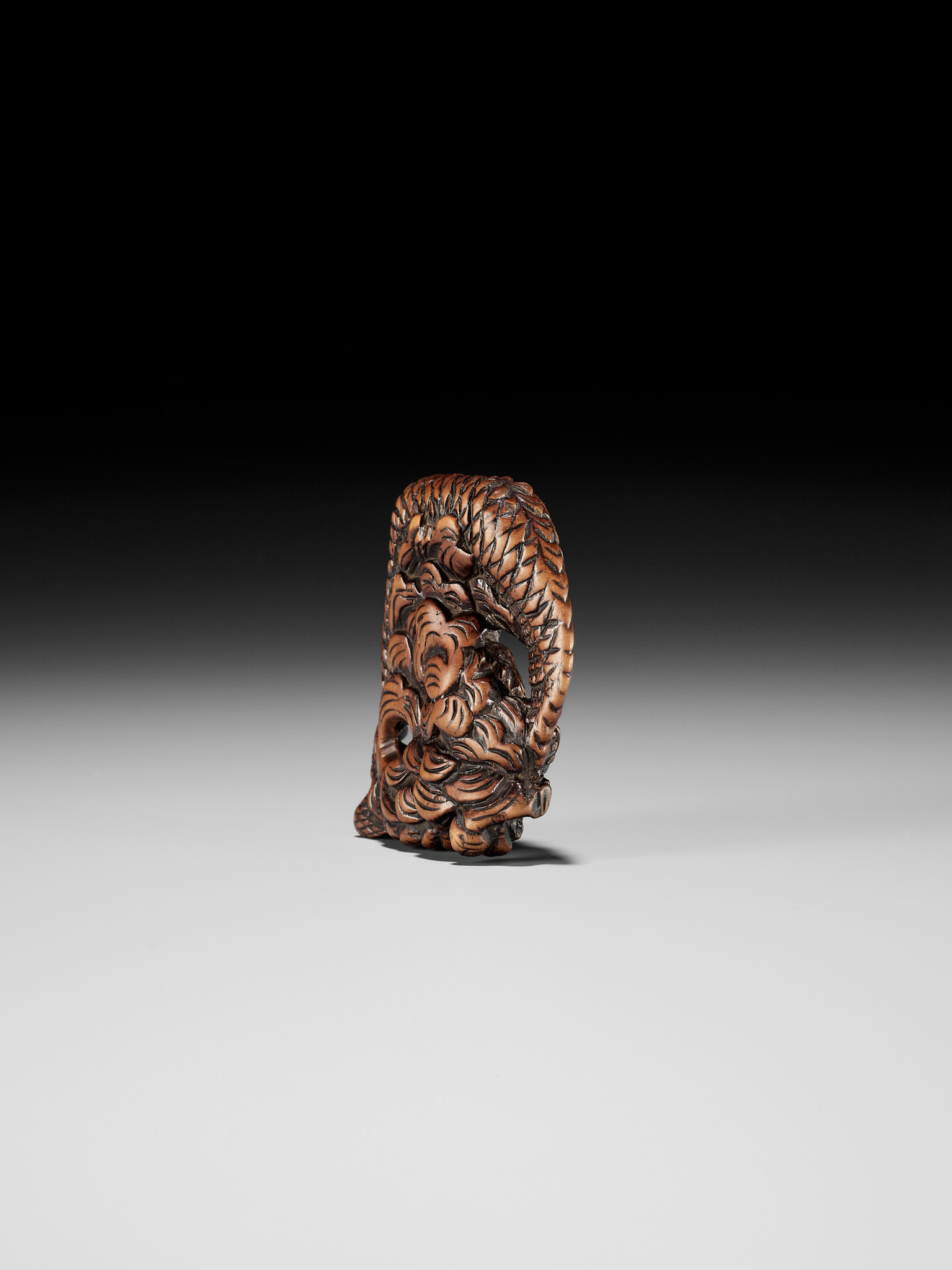 A POWERFUL WOOD NETSUKE OF A COILED DRAGON - Image 6 of 8