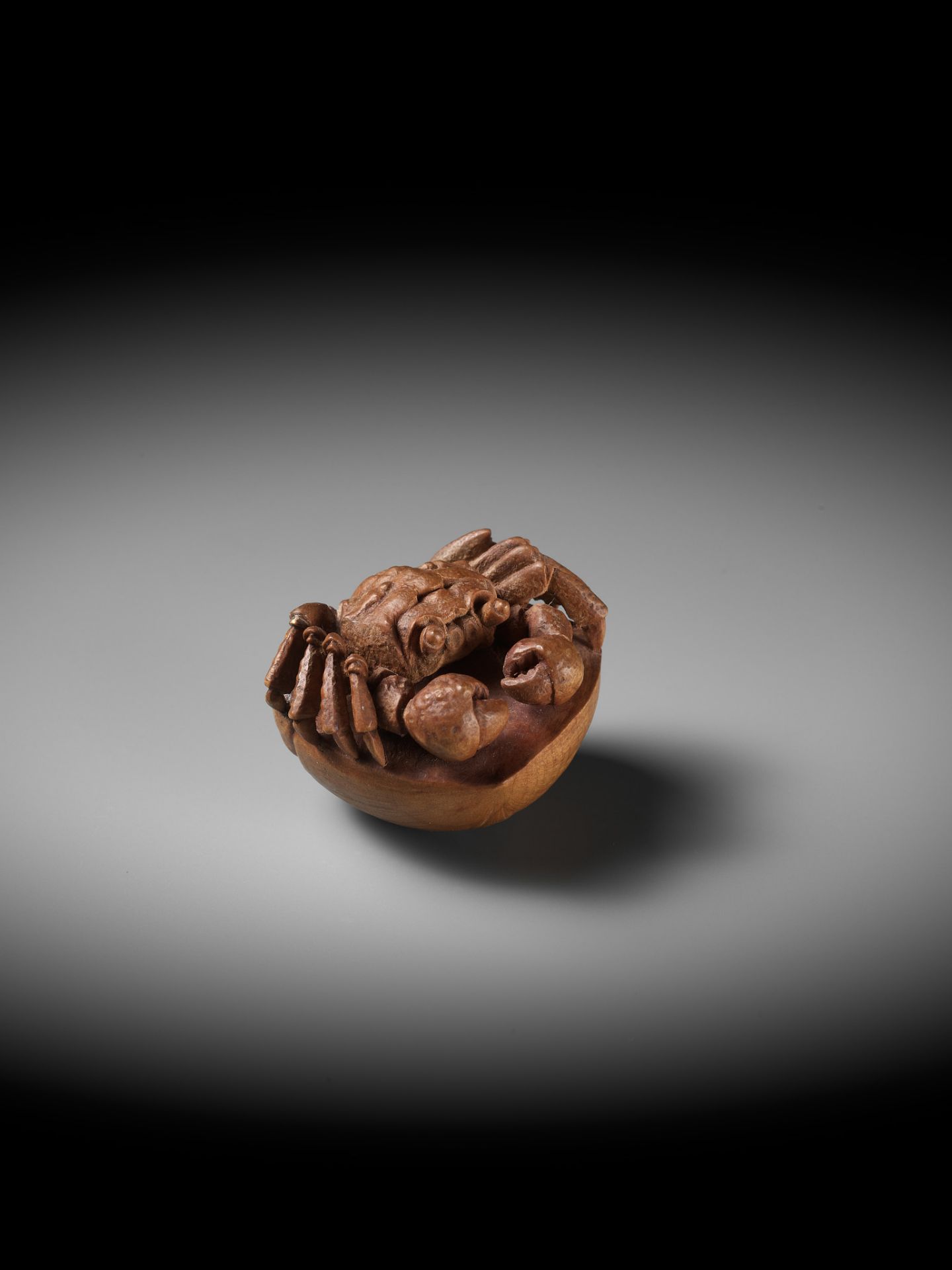 MORITA SOKO: A FINE NETSUKE OF A SAMURAI CRAB (HEIKEGANI) ON A CHESTNUT - Bild 2 aus 16