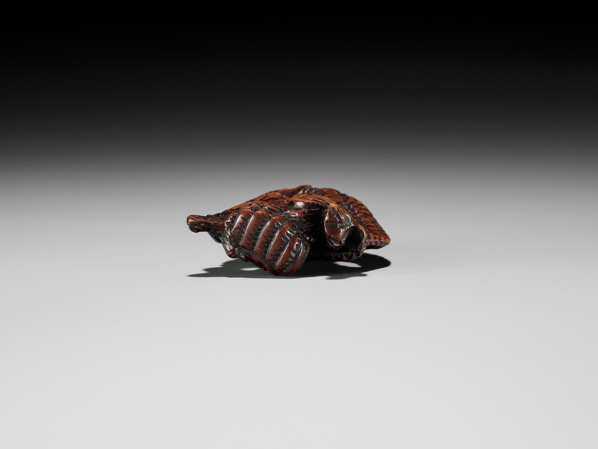 A POWERFUL WOOD NETSUKE OF A COILED DRAGON - Bild 8 aus 8