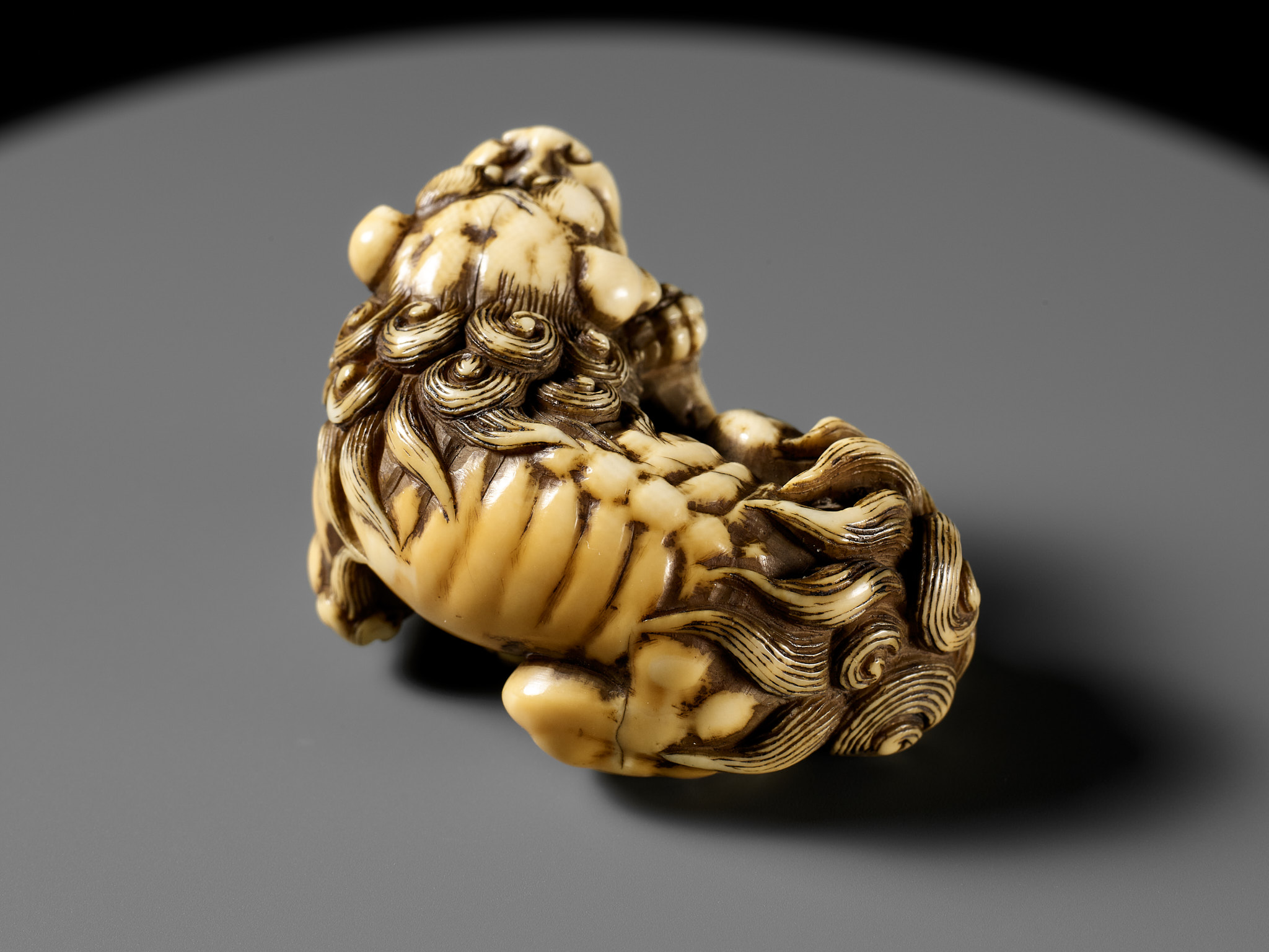 TOMOTADA: A SUPERB IVORY NETSUKE OF A RECUMBENT SHISHI SCRATCHING ITS JOWL - Image 9 of 24