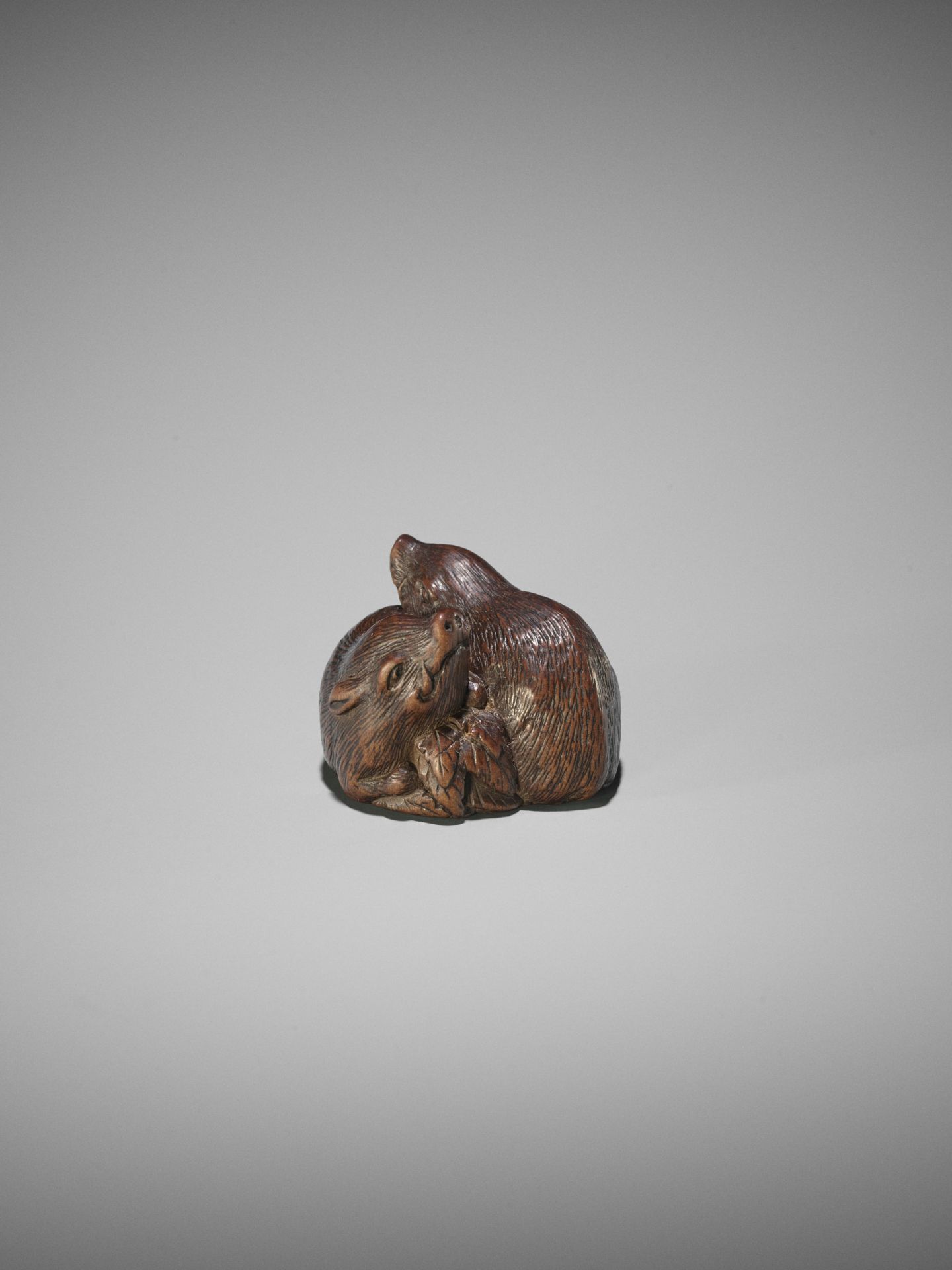 TAMETAKA: A WOOD NETSUKE OF TWO BOARS - Bild 2 aus 17