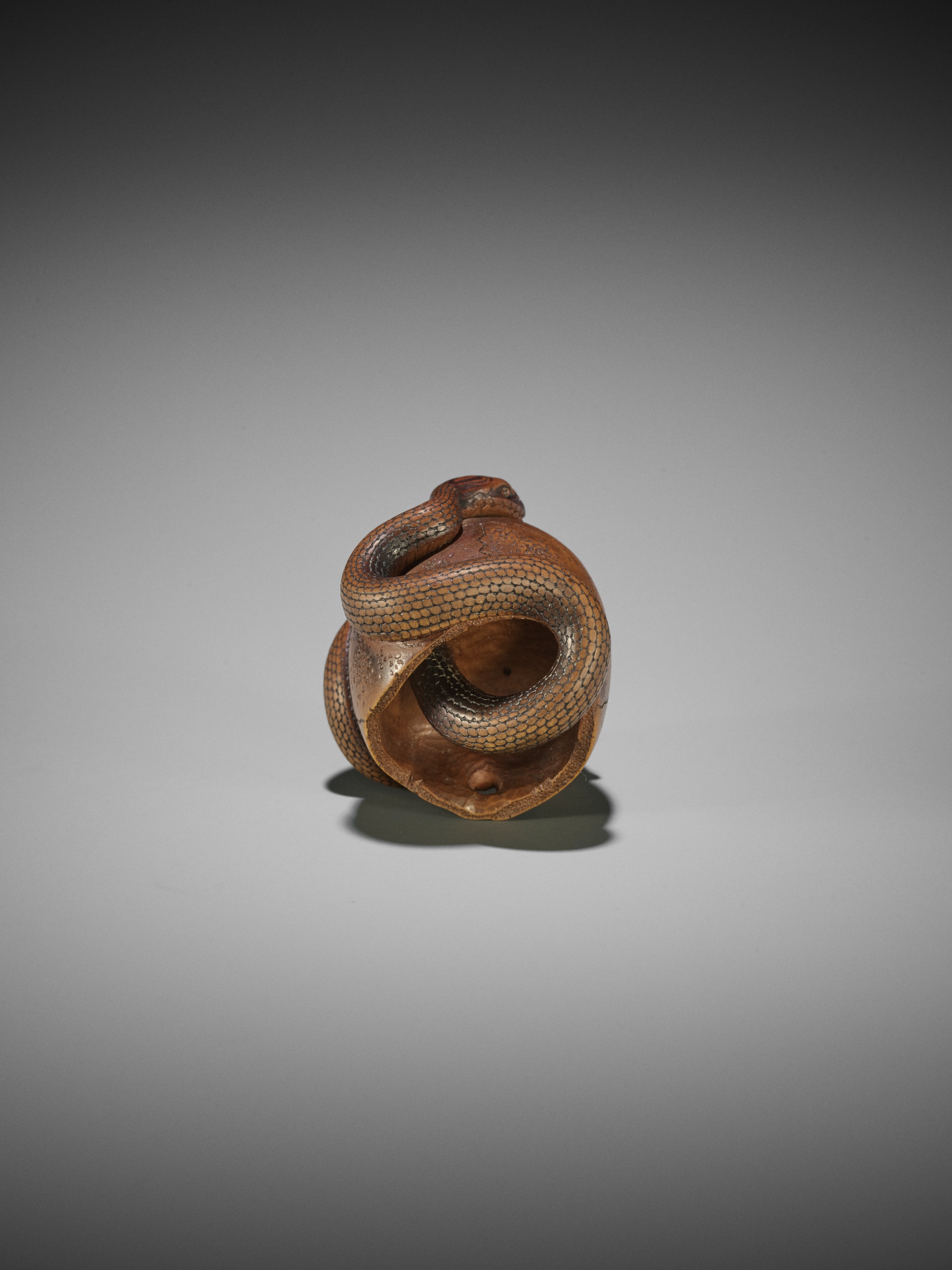 SUKEYUKI: A MASTERFUL WOOD NETSUKE OF A SNAKE AND SKULL - Image 14 of 19