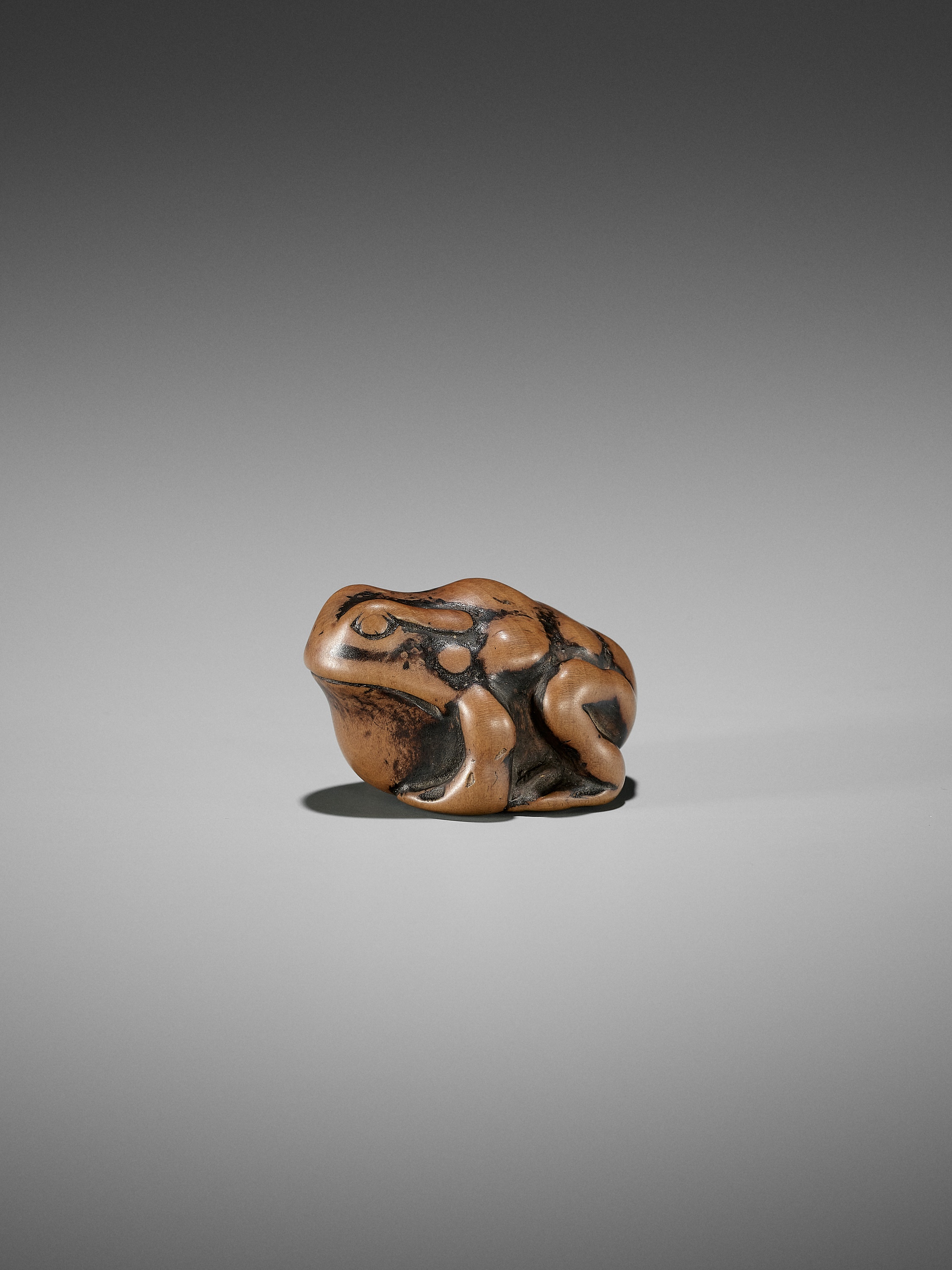 AN EARLY WOOD NETSUKE OF A TOAD - Image 9 of 12