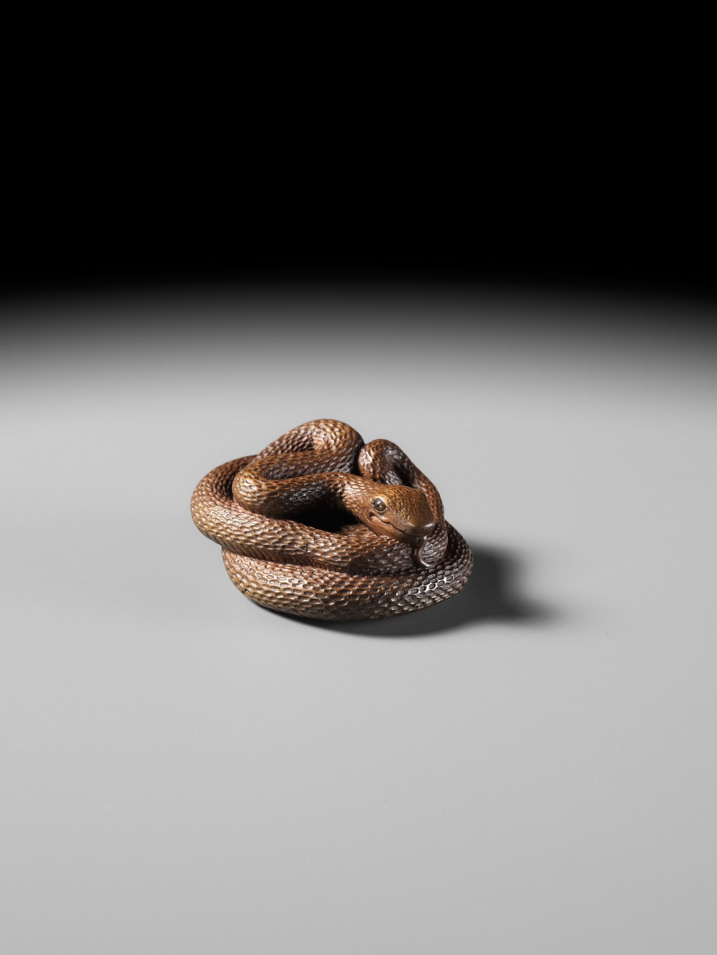 MASAKAZU: A FINE WOOD NETSUKE OF A COILED SNAKE - Image 11 of 15