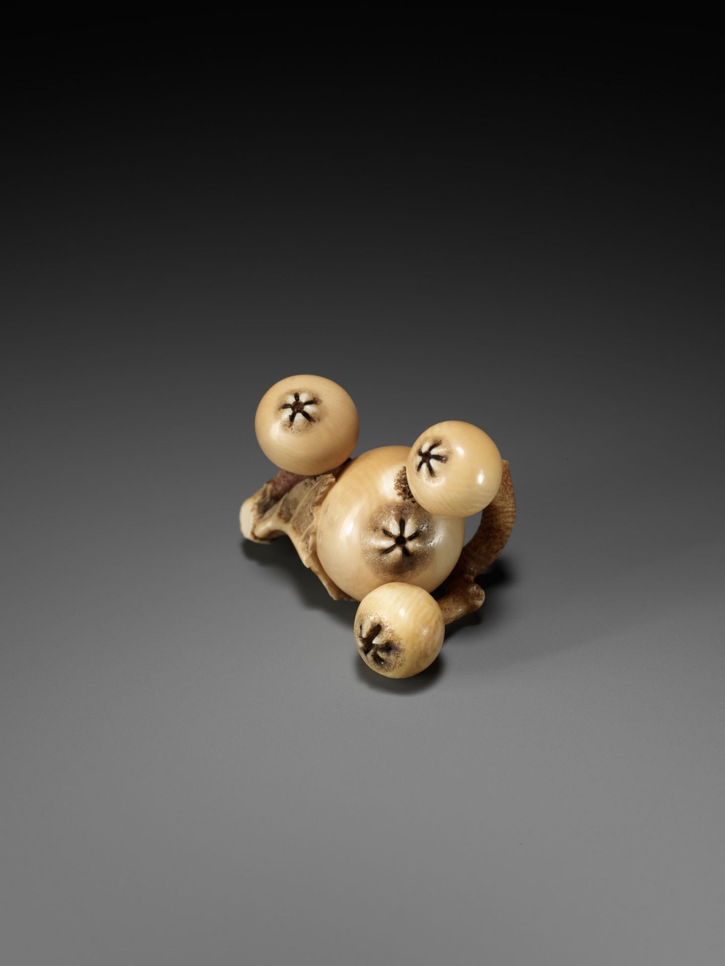 MITSUHIRO: A FINE IVORY NETSUKE OF A BIWA (LOQUAT) - Image 3 of 16