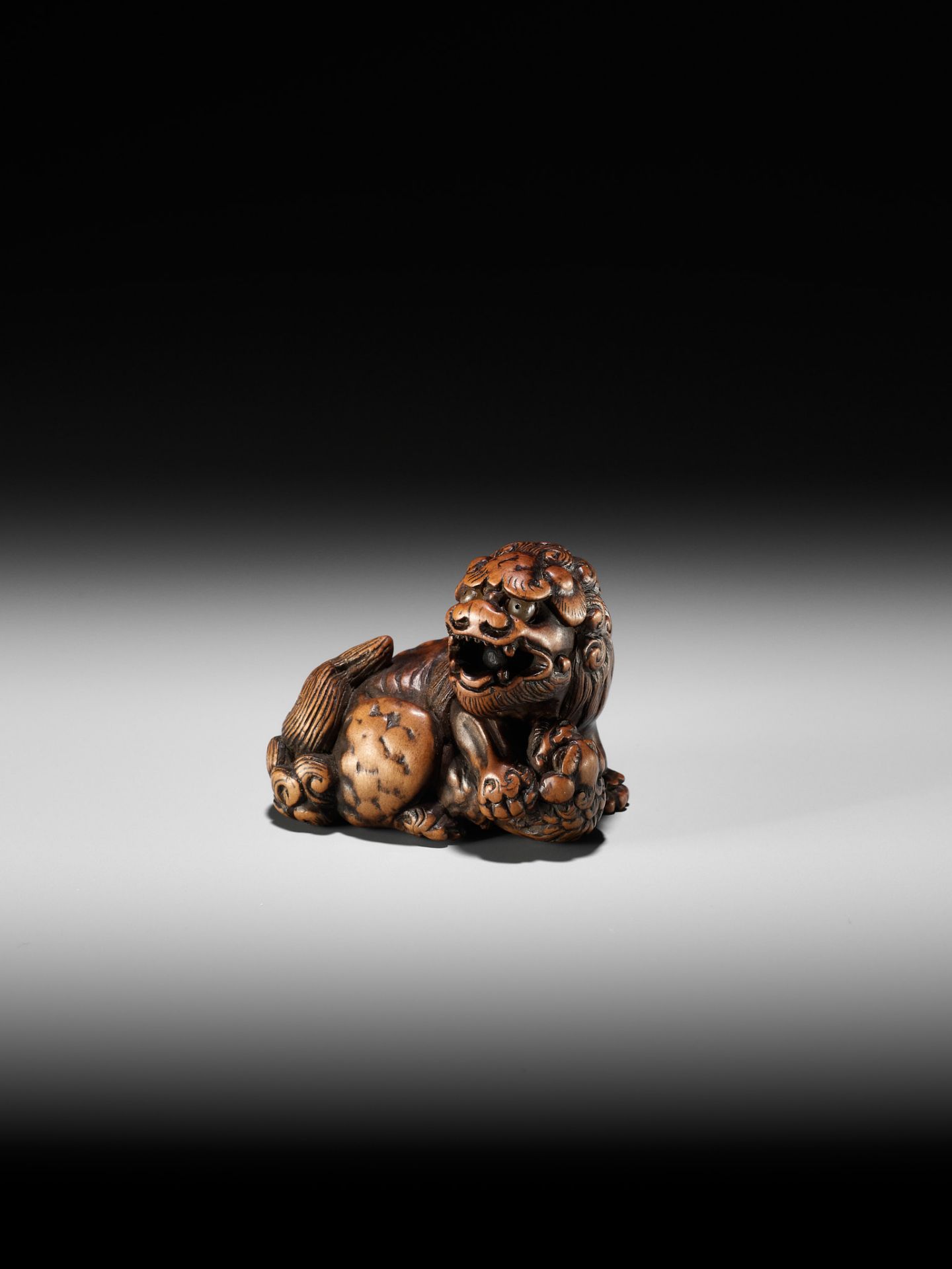 A FINE TANBA SCHOOL WOOD NETSUKE OF A SHISHI WITH YOUNG - Image 8 of 10