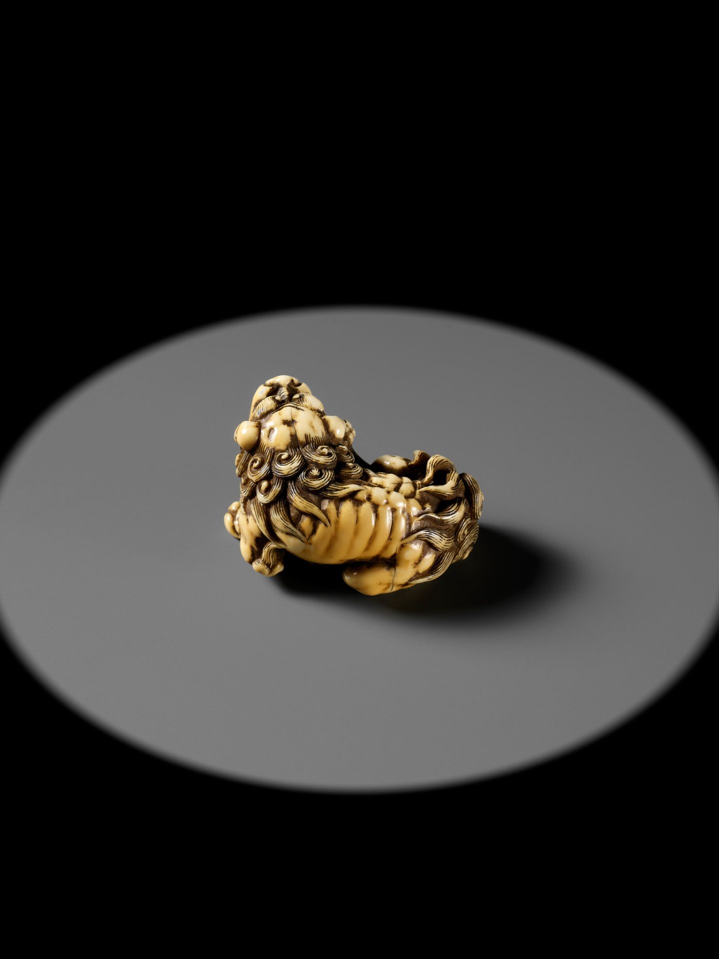 TOMOTADA: A SUPERB IVORY NETSUKE OF A RECUMBENT SHISHI SCRATCHING ITS JOWL - Image 3 of 24