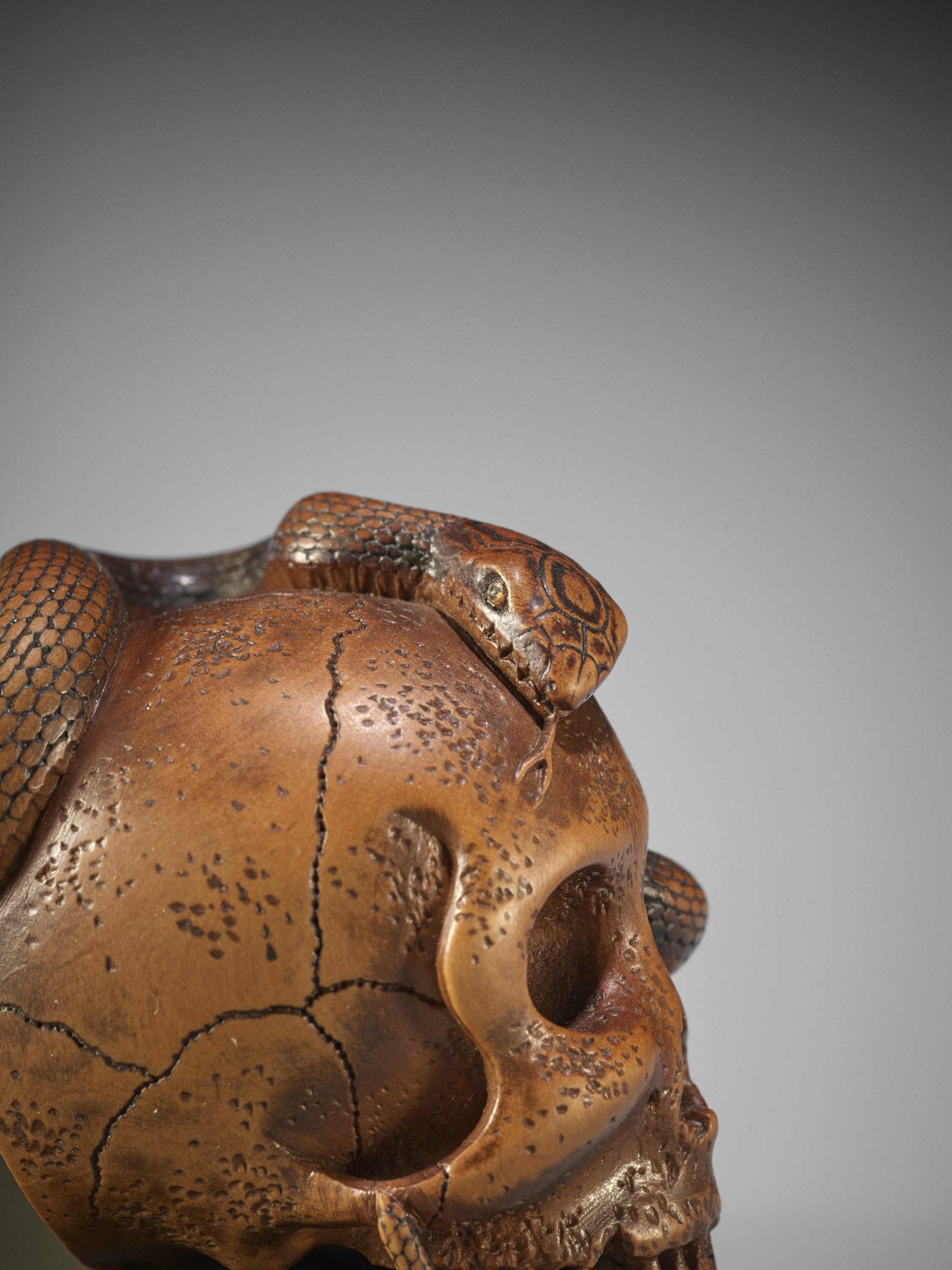 SUKEYUKI: A MASTERFUL WOOD NETSUKE OF A SNAKE AND SKULL - Image 2 of 19